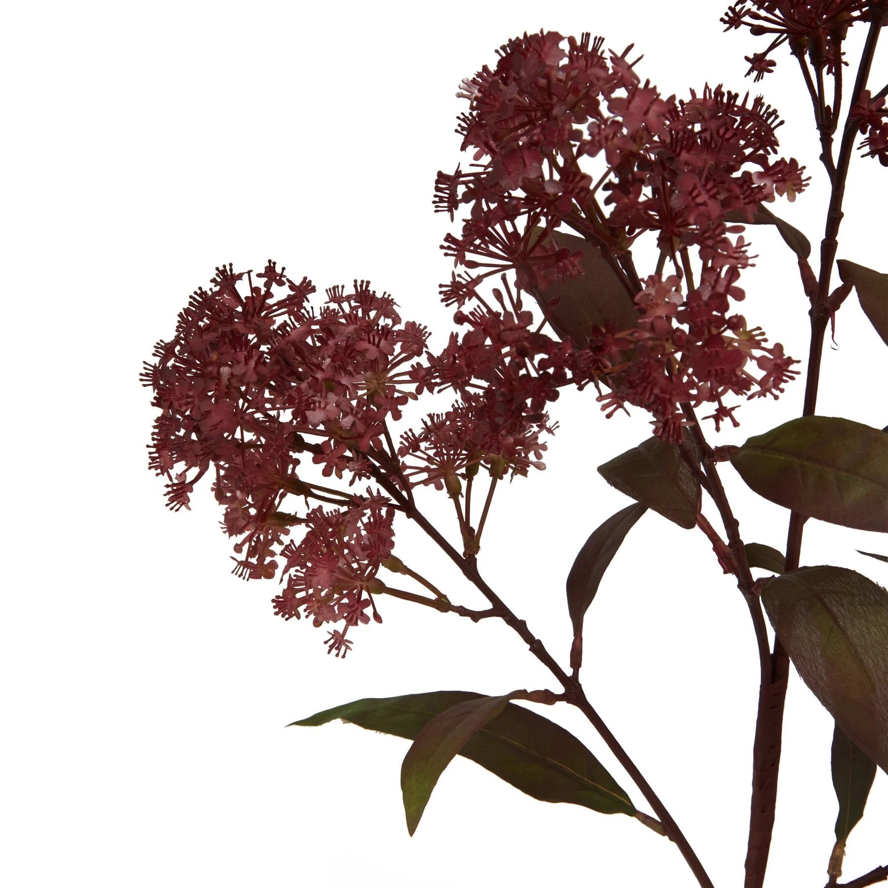 Medium Burgundy Smokebush Stem — Pack of 5 - Artificial plants & flowers, photo 2 of 3
