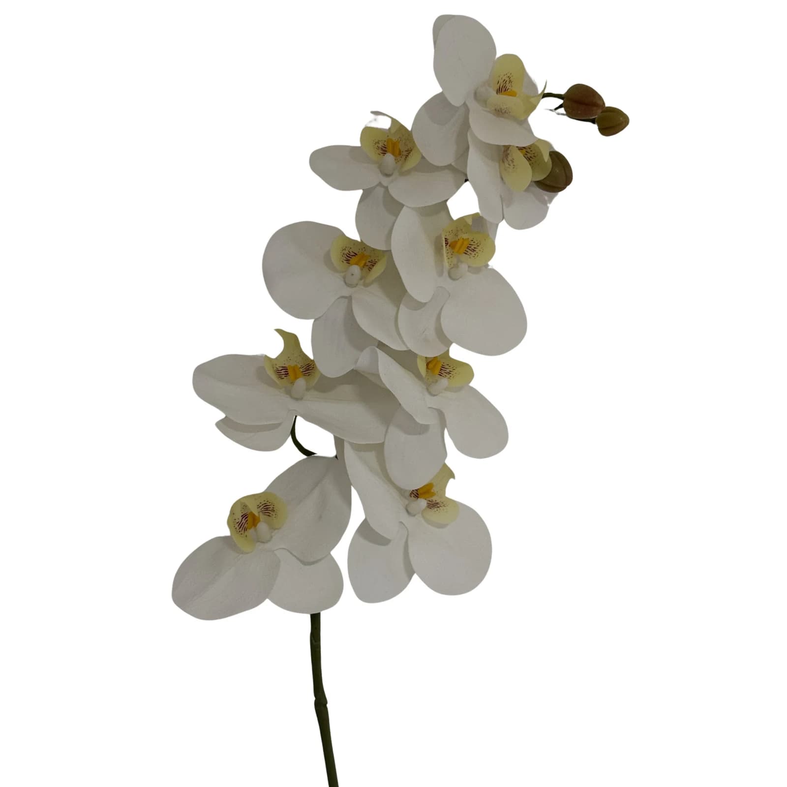 Tall White Butterfly Orchid Stem — Pack of 5 - Artificial plants & flowers, photo 2 of 3