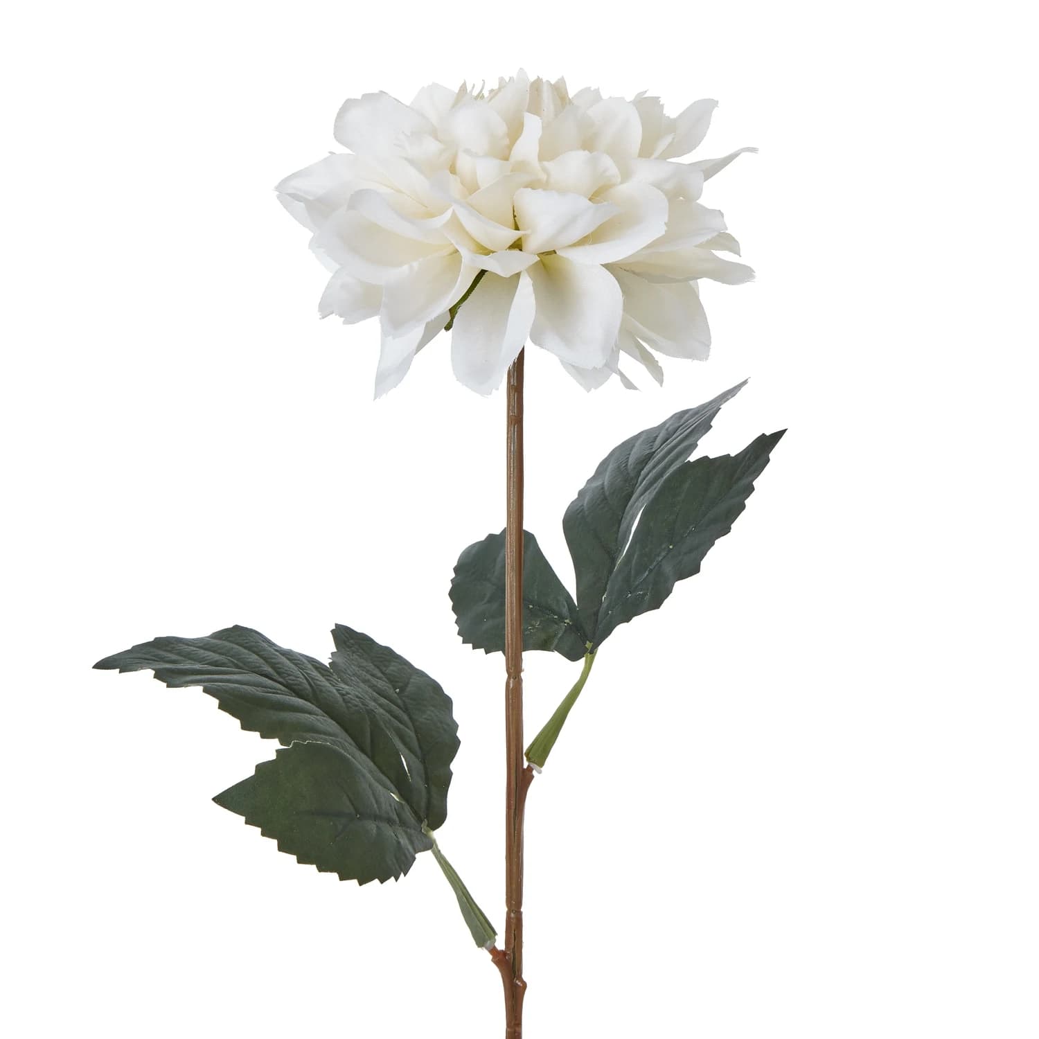 The Natural Garden Collection Tall White Dahlia — Pack of 5 - Artificial plants & flowers, photo 2 of 3