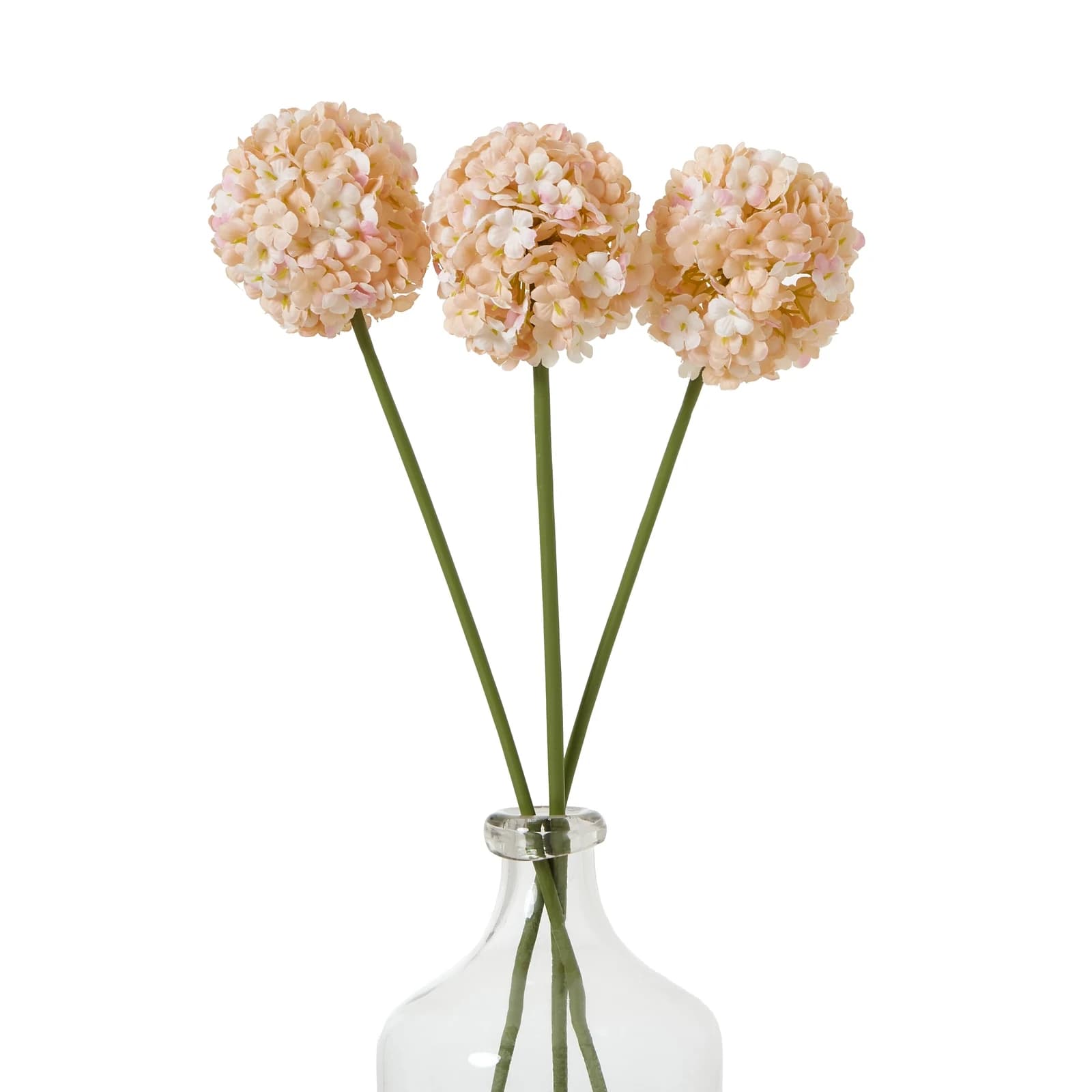 The Natural Garden Collection White & Apricot Allium — Pack of 5 - Artificial plants & flowers, photo 5 of 5