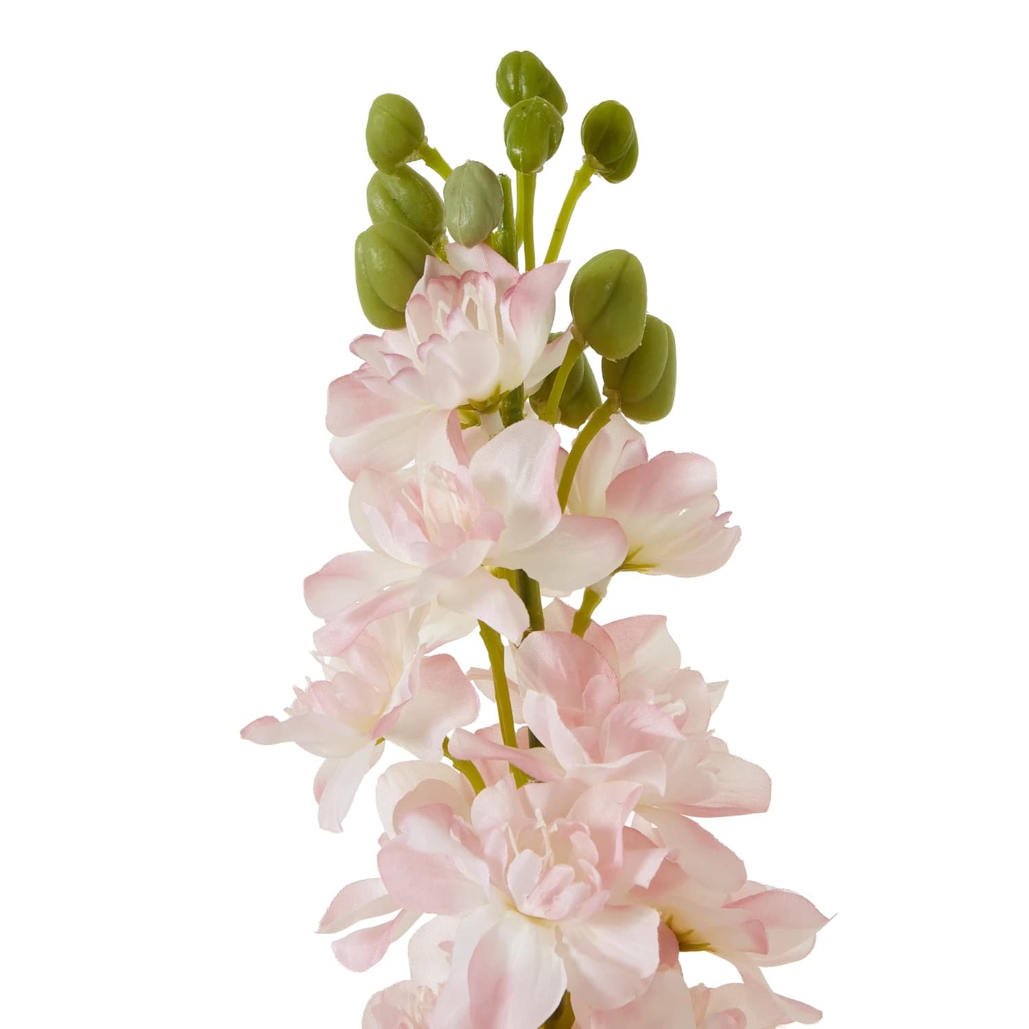 The Natural Garden Collection Pink Elatum Delphinium — Pack of 5 - Artificial plants & flowers, photo 2 of 3