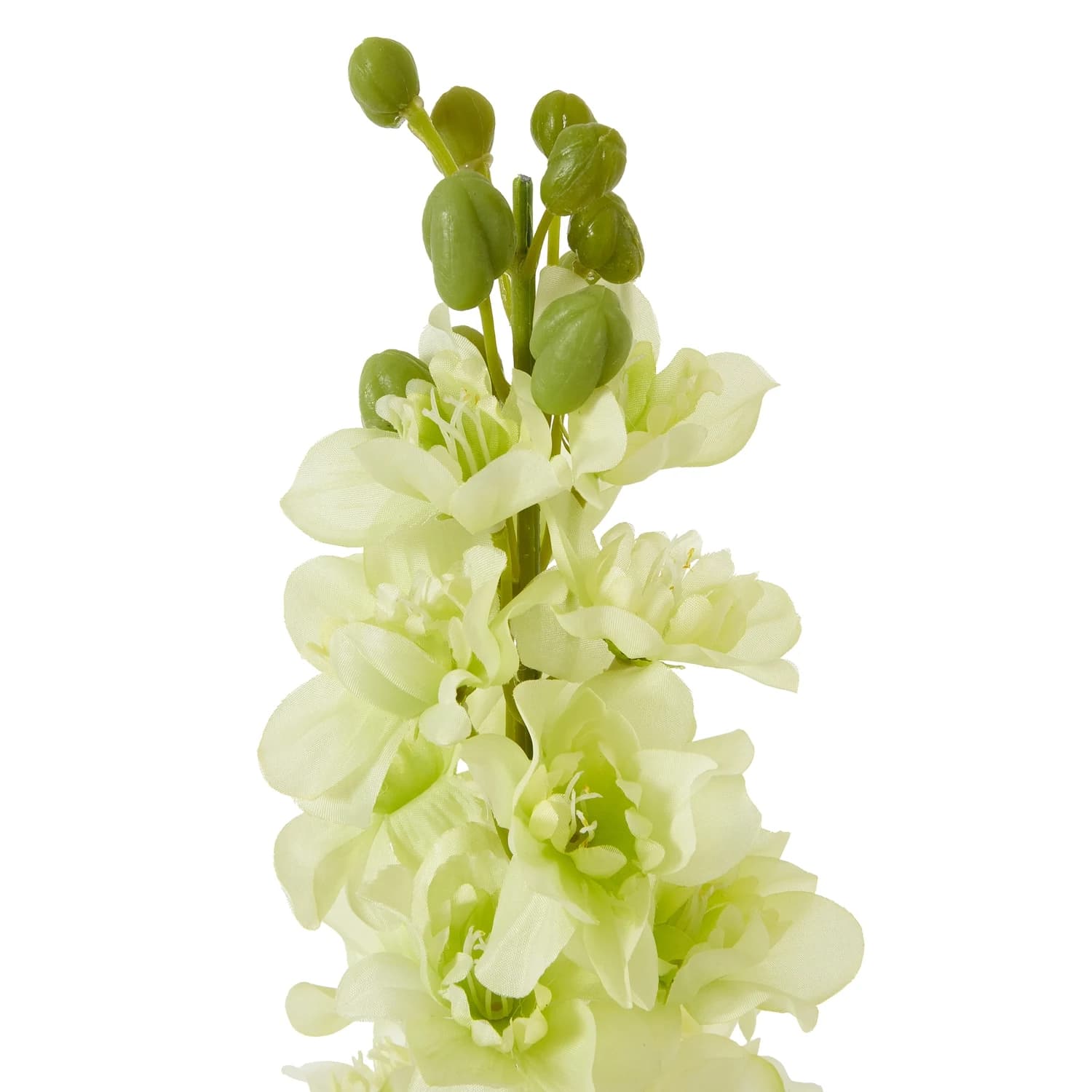 The Natural Garden Collection White Elatum Delphinium — Pack of 5 - Artificial plants & flowers, photo 2 of 3