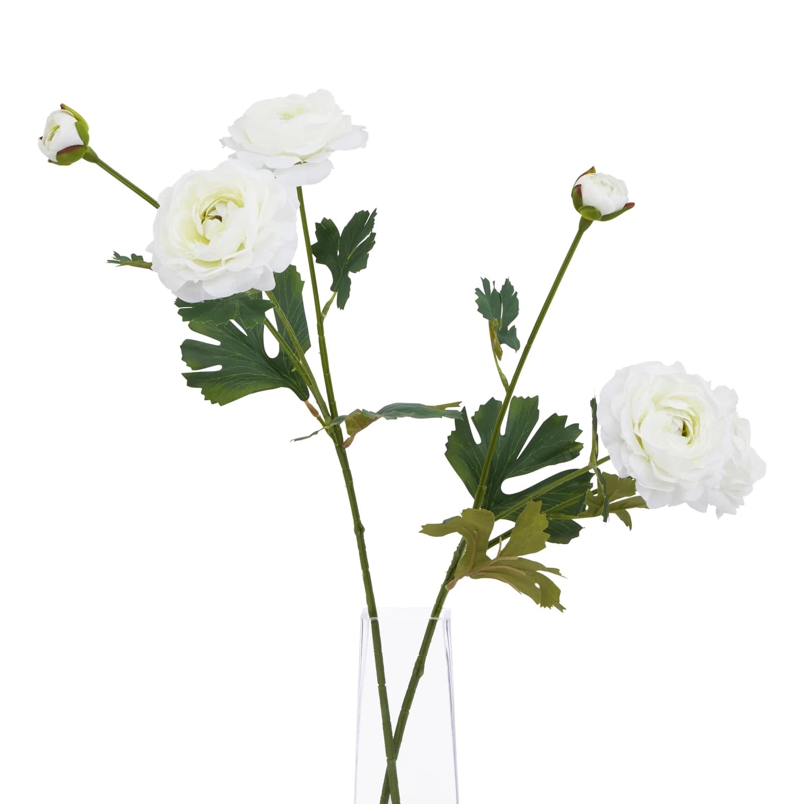 The Natural Garden Collection White Ranunculus — Pack of 5 - Artificial plants & flowers, photo 5 of 5