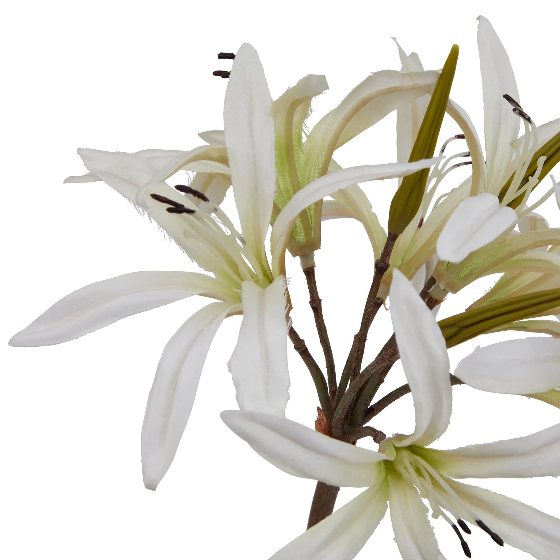 The Natural Garden Collection White Nerine Lily Stem — Pack of 5 - Artificial plants & flowers, photo 2 of 3