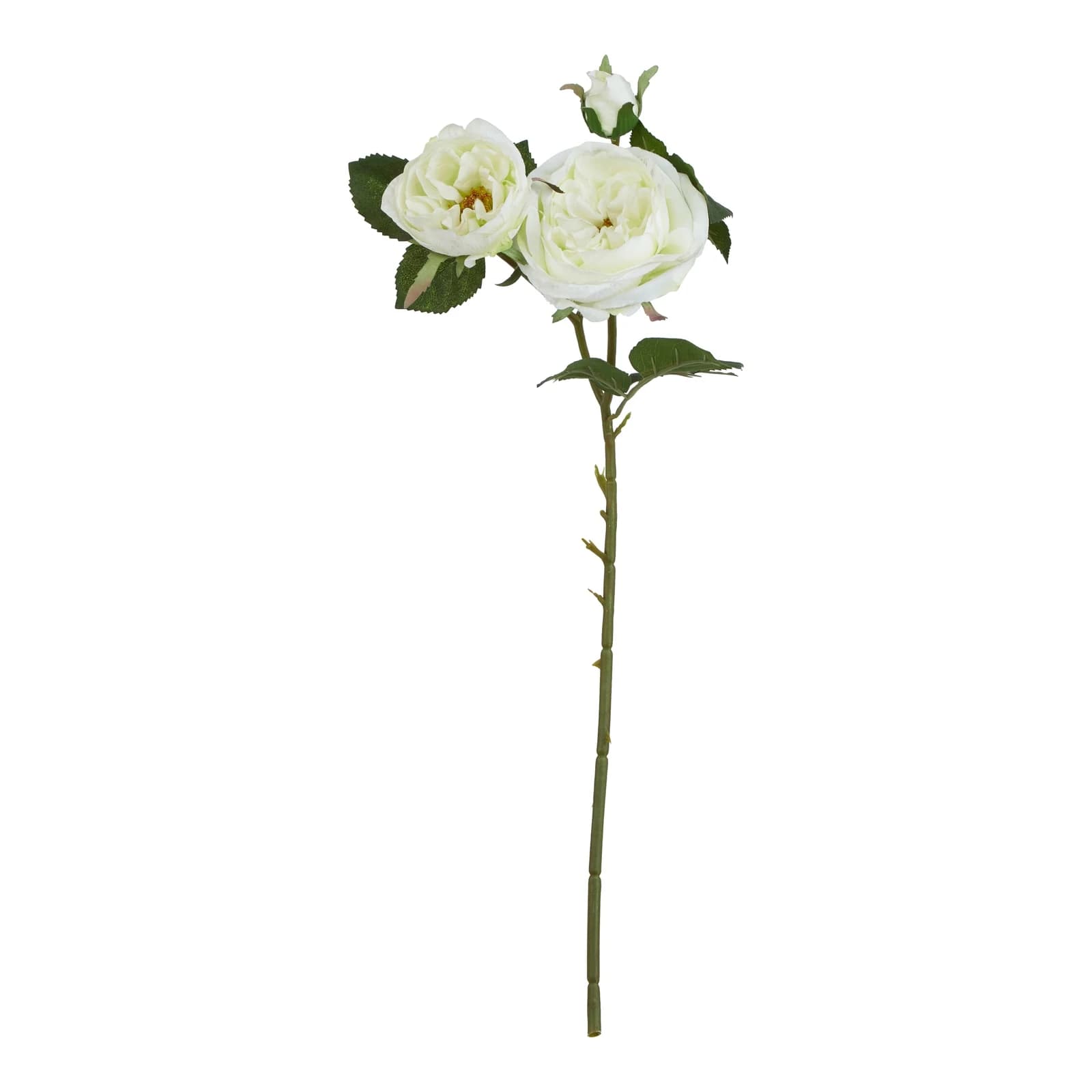 The Natural Garden Collection White Charity Rose — Pack of 5 - Artificial plants & flowers, photo 3 of 5