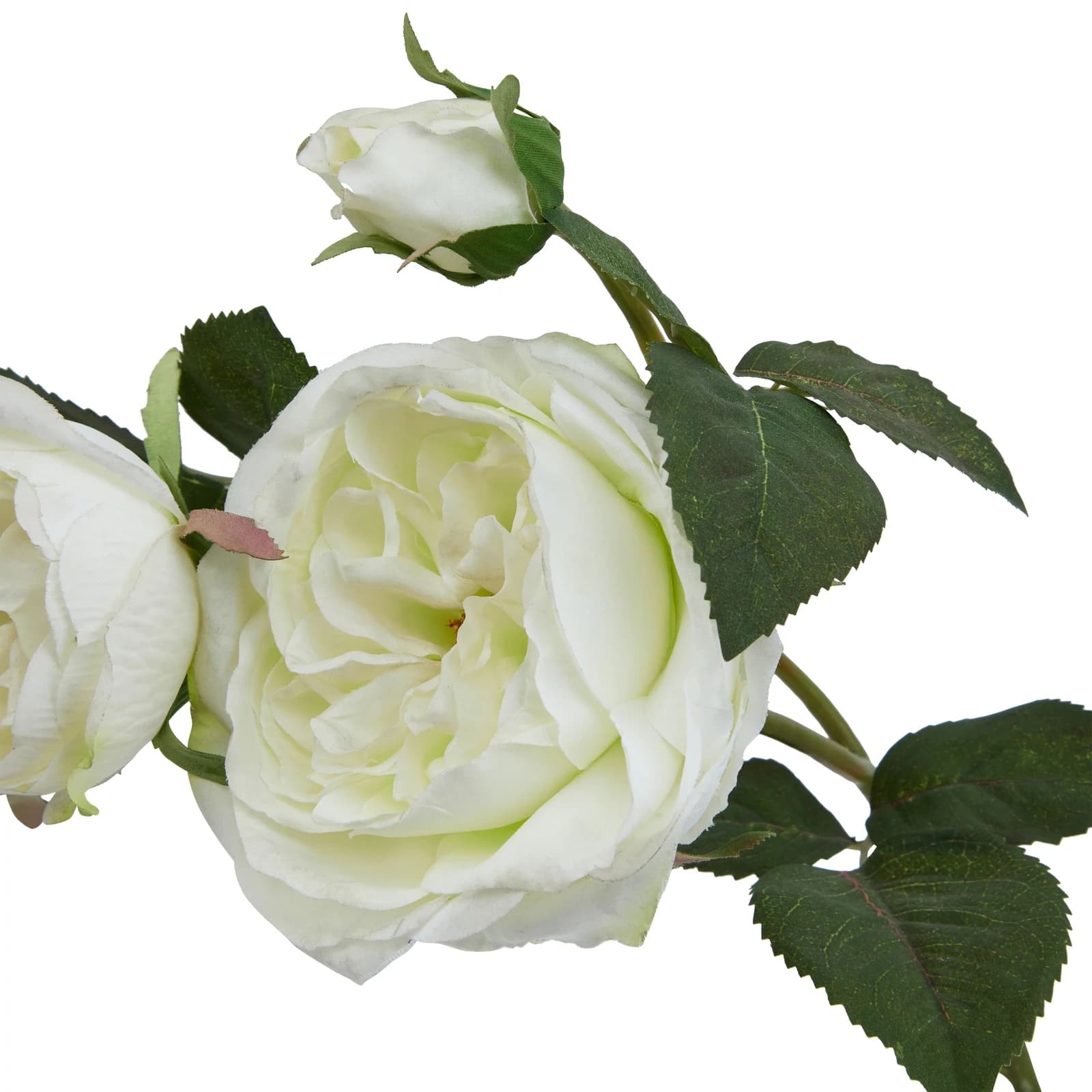 The Natural Garden Collection White Charity Rose — Pack of 5 - Artificial plants & flowers, photo 4 of 5