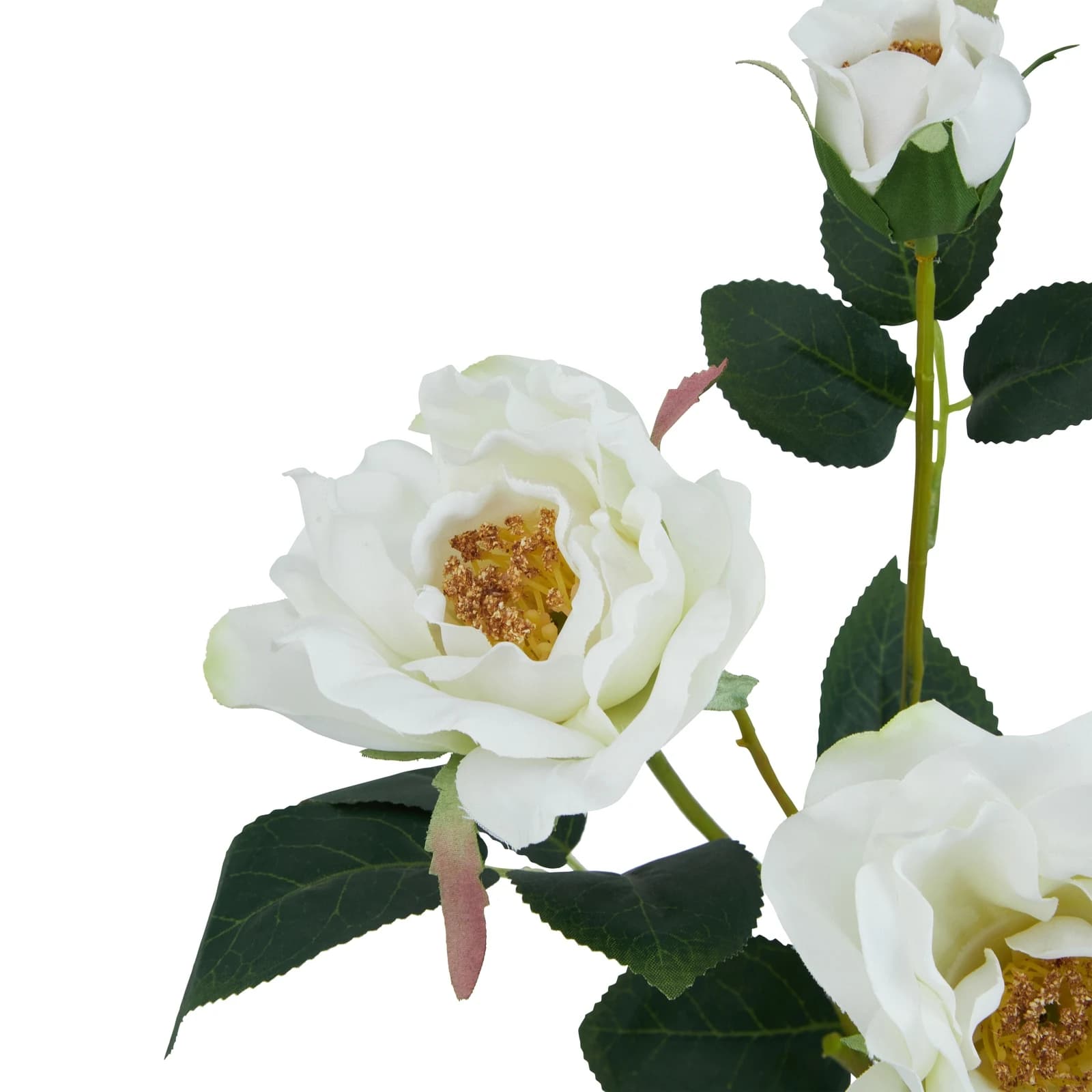 The Natural Garden Collection White Tea Rose — Pack of 5 - Artificial plants & flowers, photo 4 of 5