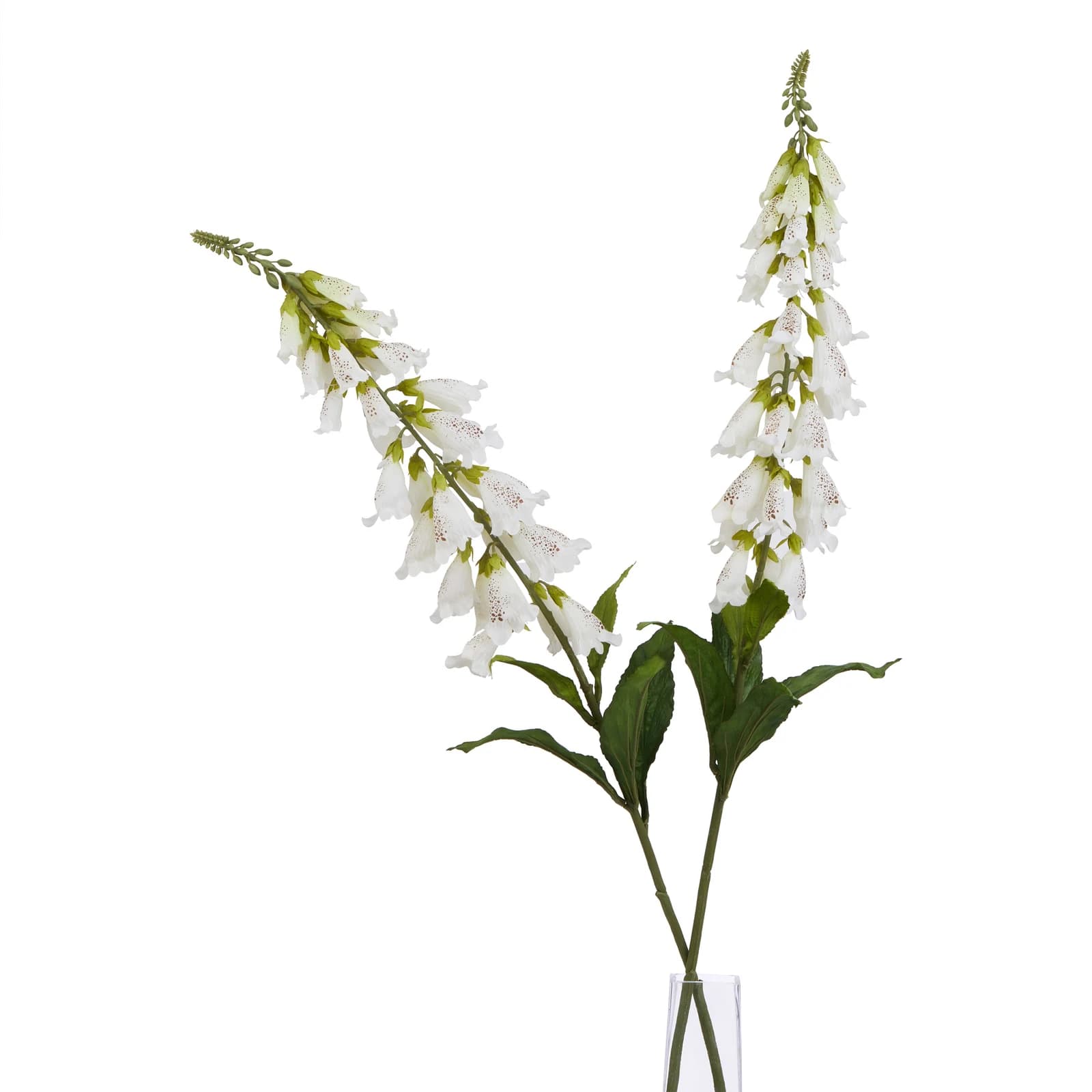 The Natural Garden Collection White Foxglove — Pack of 5 - Artificial plants & flowers, photo 4 of 5