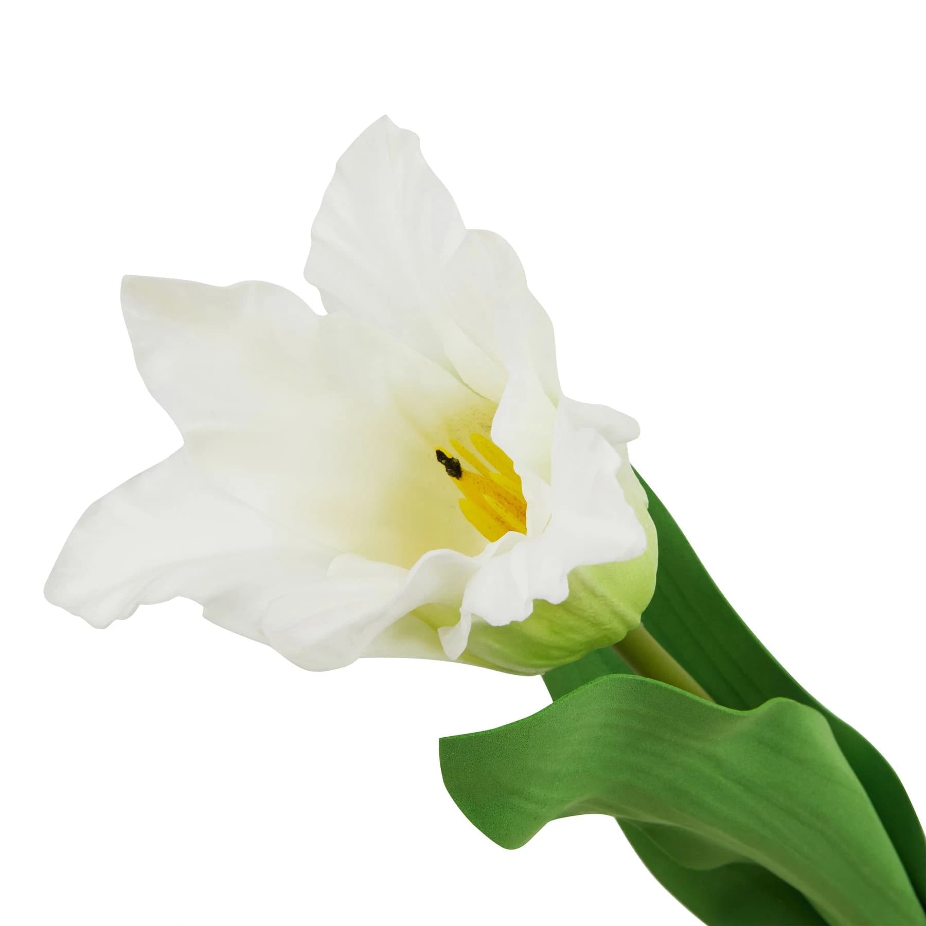 The Natural Garden Collection White Parrot Tulip — Pack of 5 - Artificial plants & flowers, photo 2 of 3
