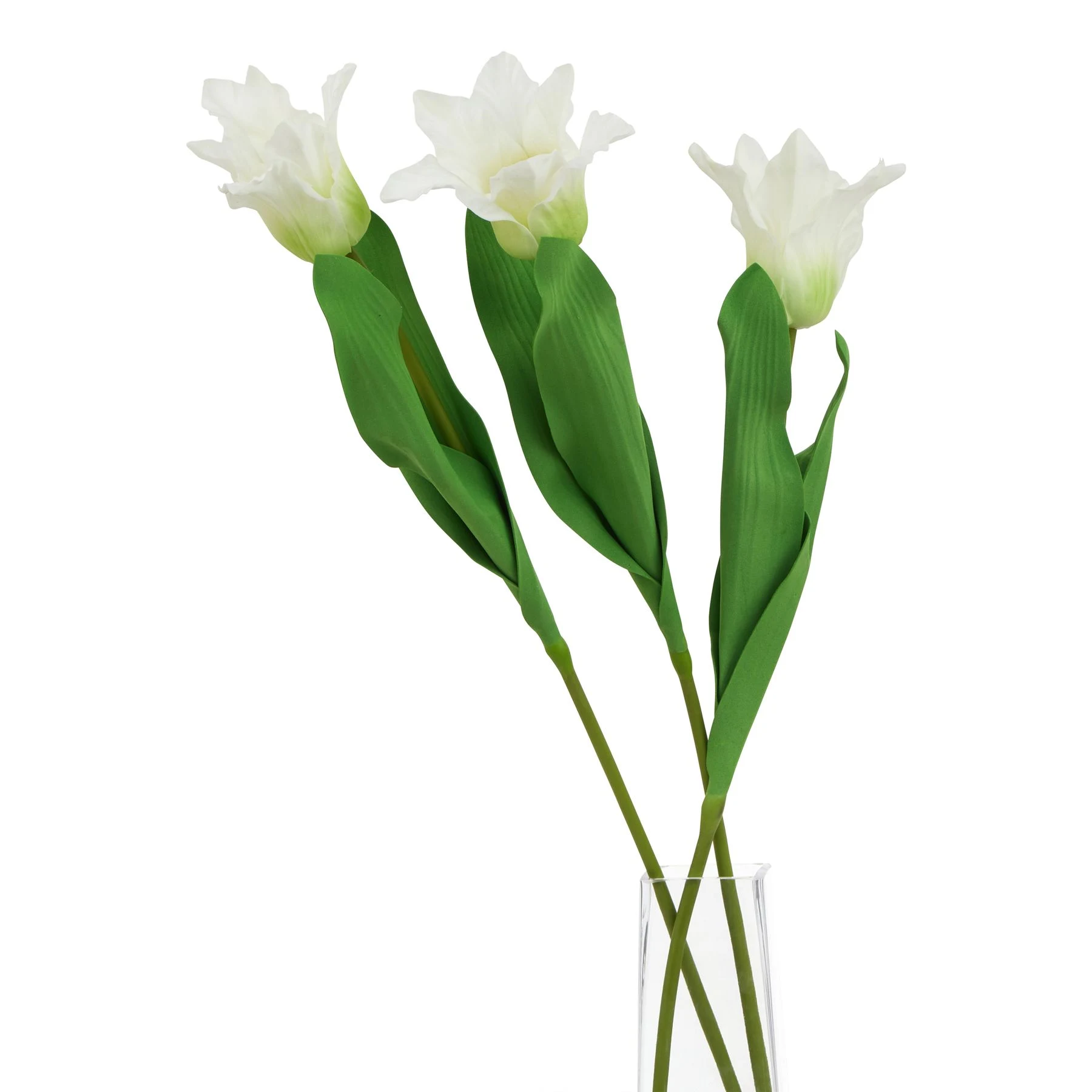 The Natural Garden Collection White Parrot Tulip — Pack of 5 - Artificial plants & flowers, photo 3 of 3