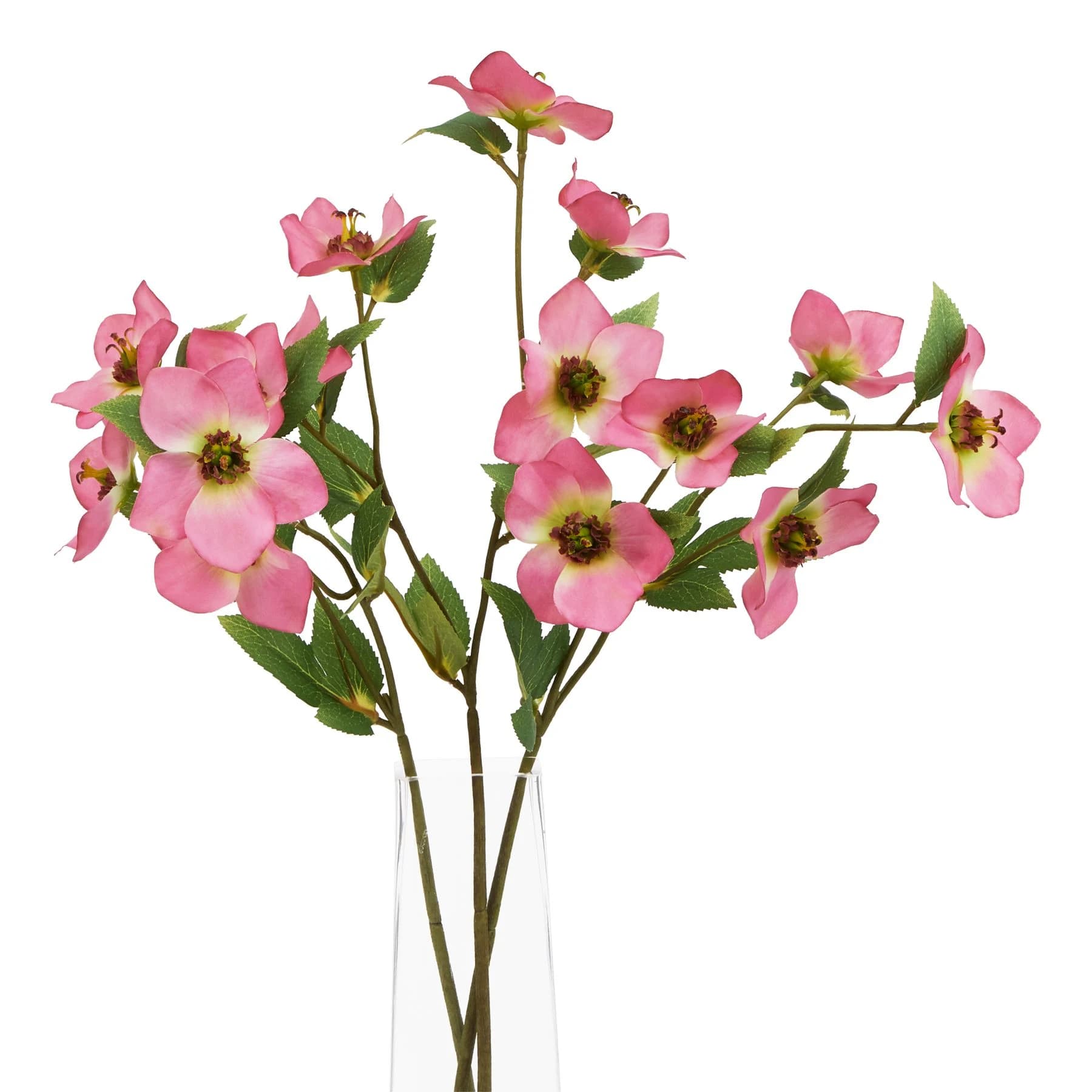 The Natural Garden Collection Pink Varigated Hellibore — Pack of 5 - Artificial plants & flowers, photo 3 of 3