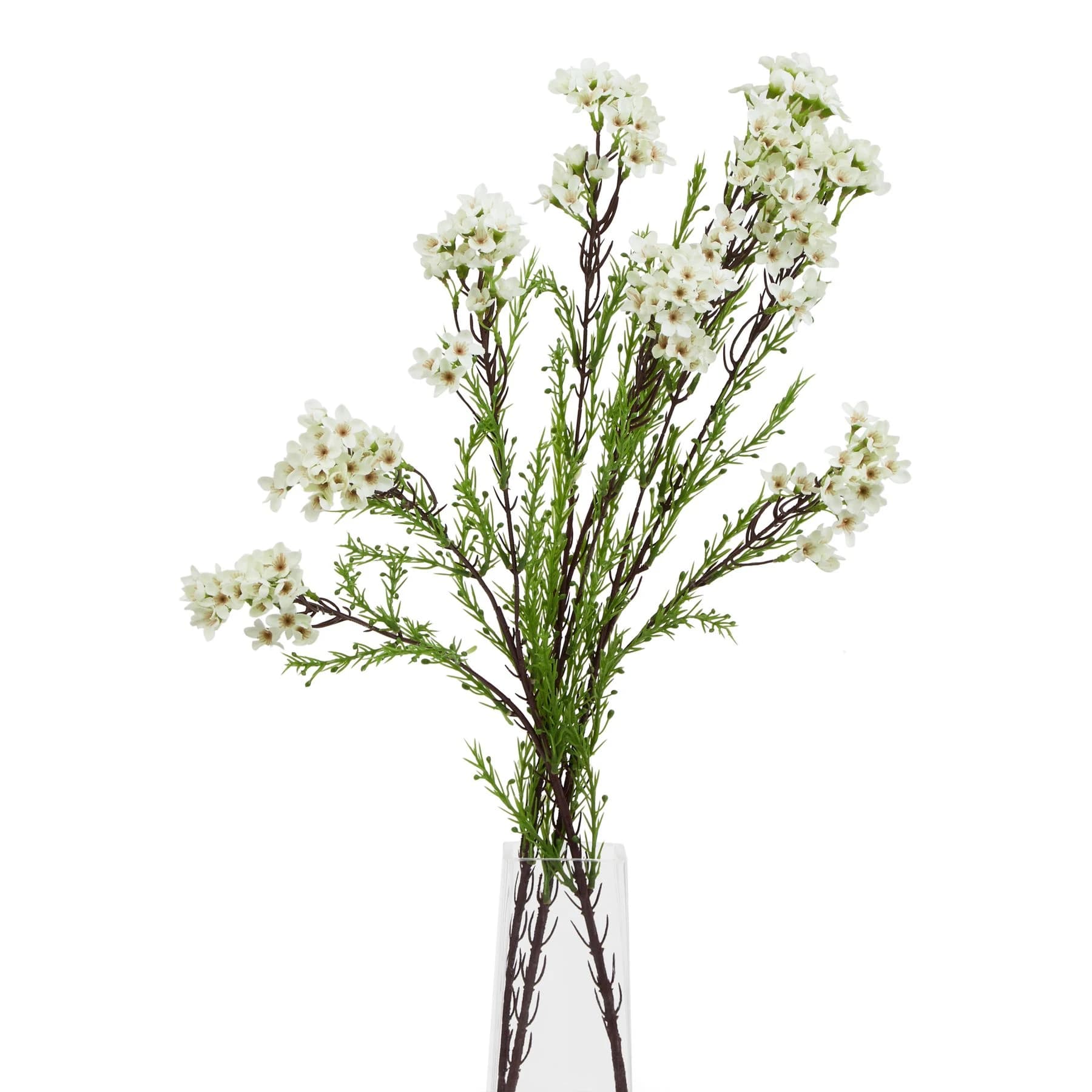 The Natural Garden Collection White Waxflower — Pack of 5 - Artificial plants & flowers, photo 3 of 3