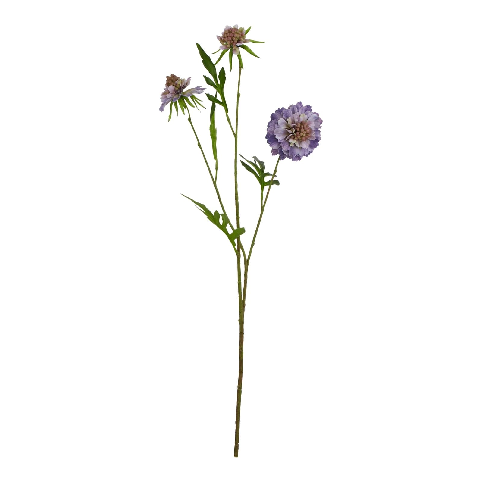 The Natural Garden Collection Purple Scabious Stem — Pack of 5 - Artificial plants & flowers, photo 3 of 4