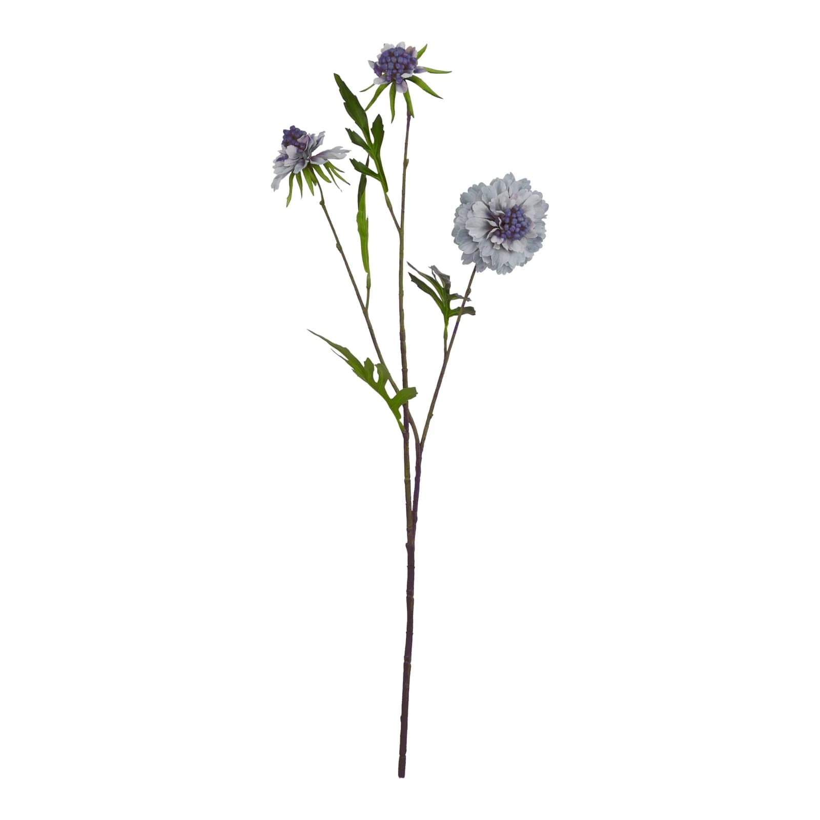 Pale Blue Scabious Stem — Pack of 5 - Artificial plants & flowers, photo 3 of 4