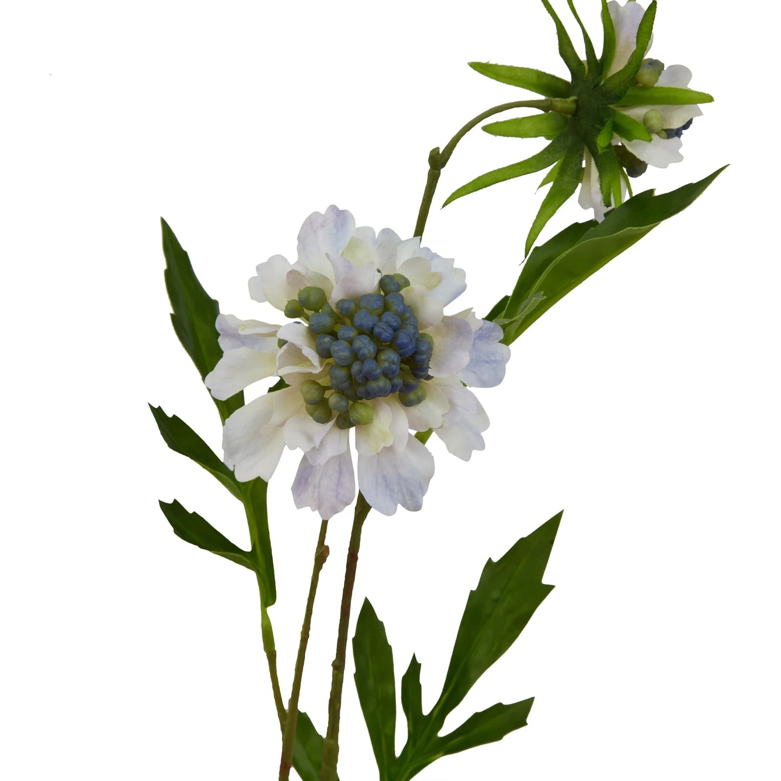 Pale Blue Scabious Stem — Pack of 5 - Artificial plants & flowers, photo 4 of 4