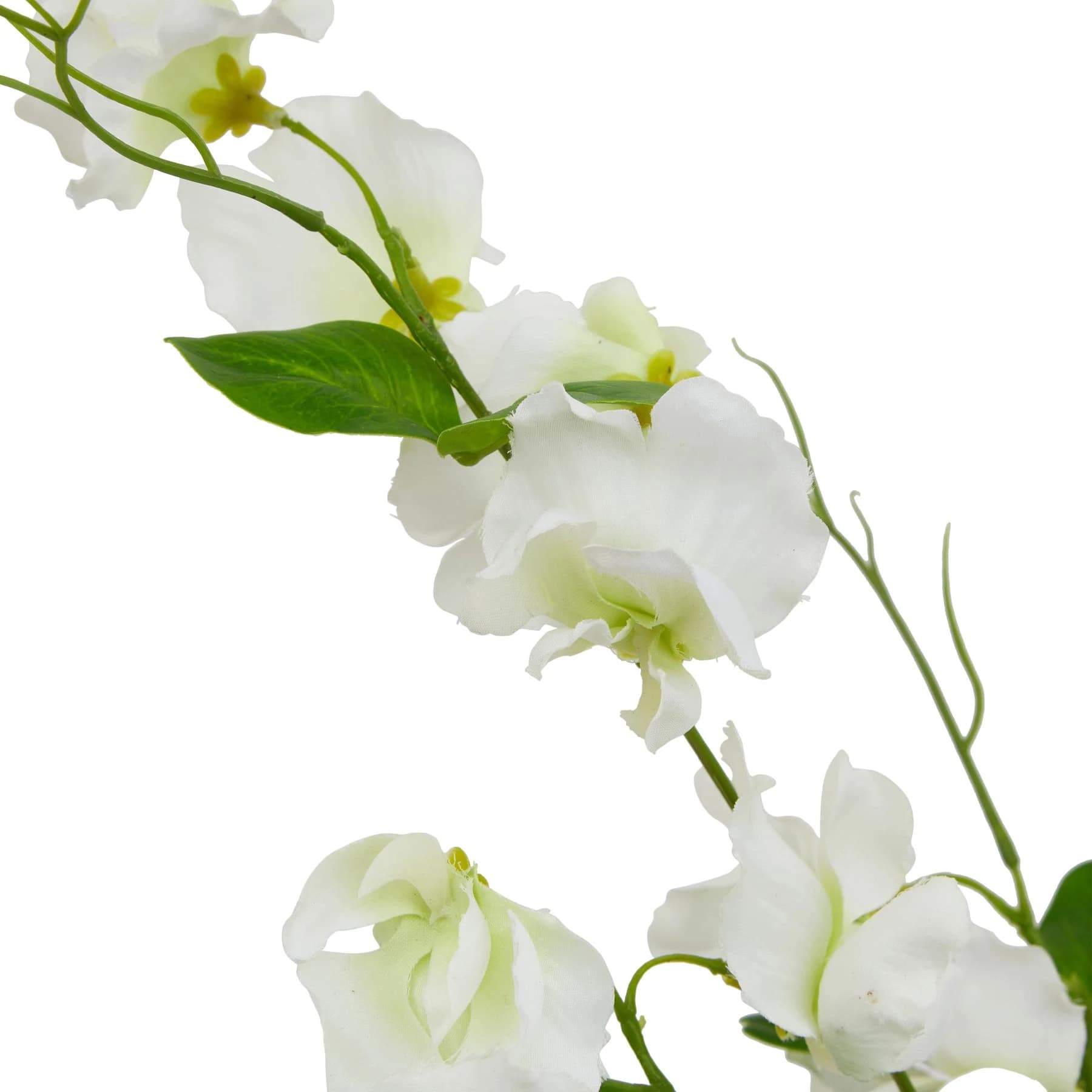 The Natural Garden Collection White Sweetpea Stem — Pack of 5 - Artificial plants & flowers, photo 2 of 4