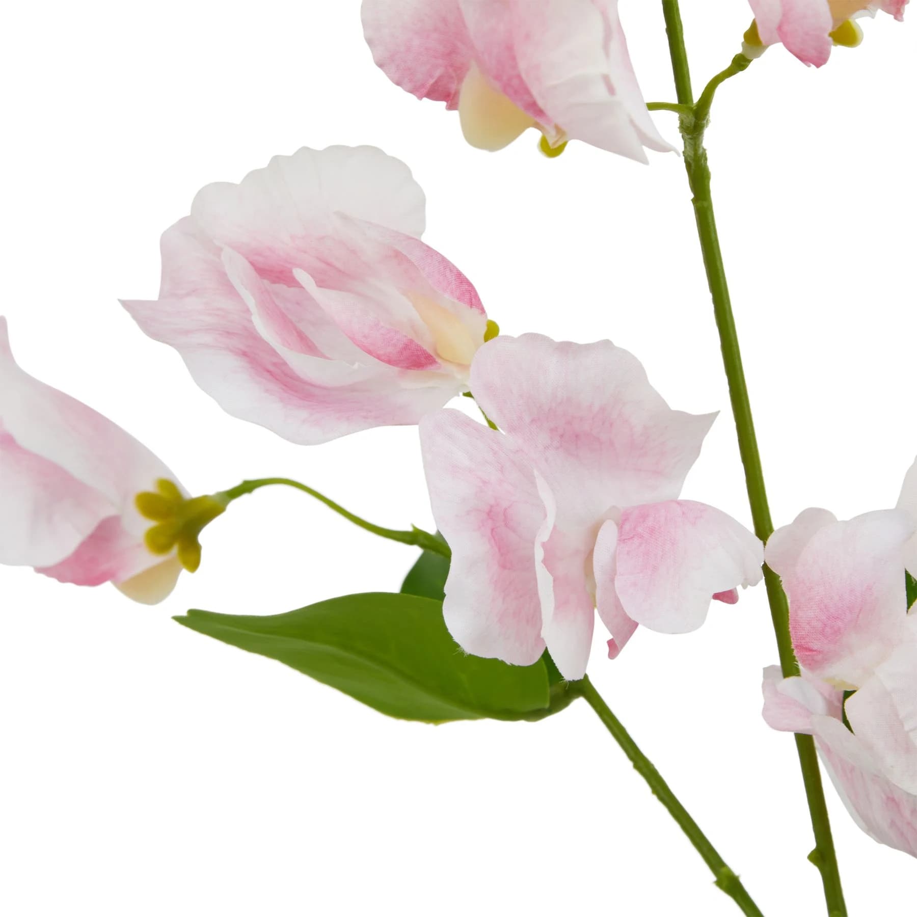 The Natural Garden Collection Pale Pink Sweetpea Stem — Pack of 5 - Artificial plants & flowers, photo 2 of 4