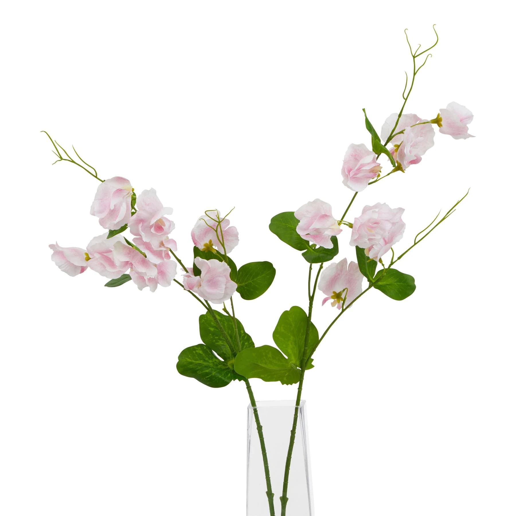 The Natural Garden Collection Pale Pink Sweetpea Stem — Pack of 5 - Artificial plants & flowers, photo 3 of 4