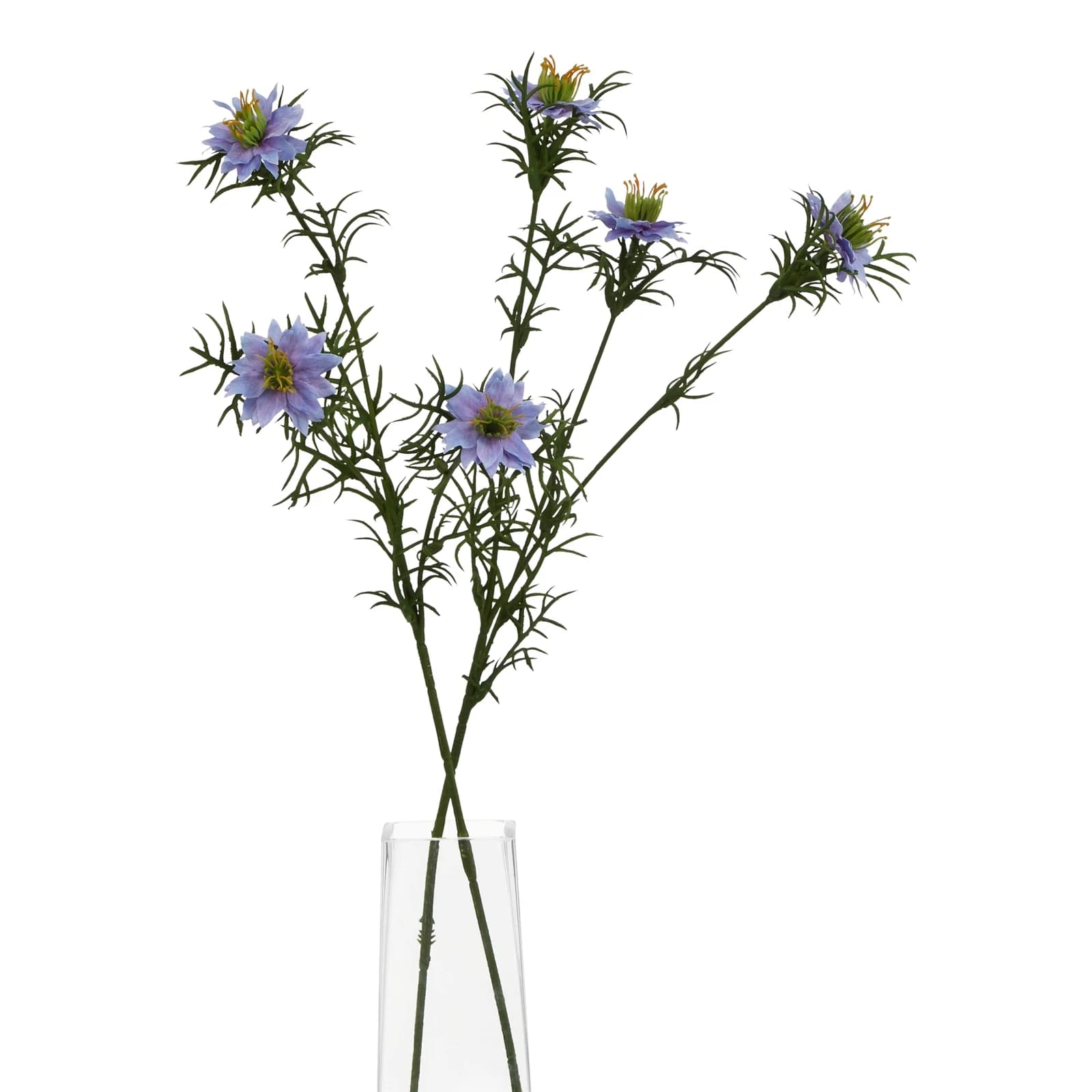 The Natural Garden Collection Purple Nigella Love In A Mist — Pack of 5 - Artificial plants & flowers, photo 5 of 5