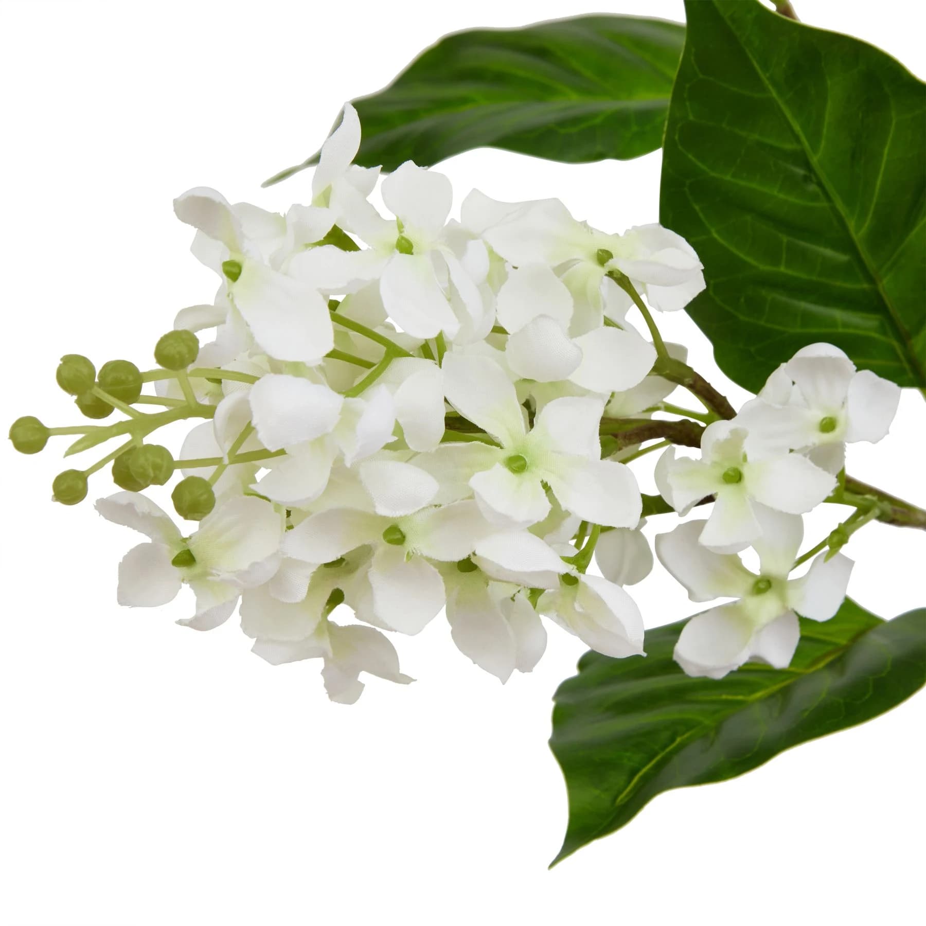 The Natural Garden Collection White Lilac Stem — Pack of 5 - Artificial plants & flowers, photo 2 of 3