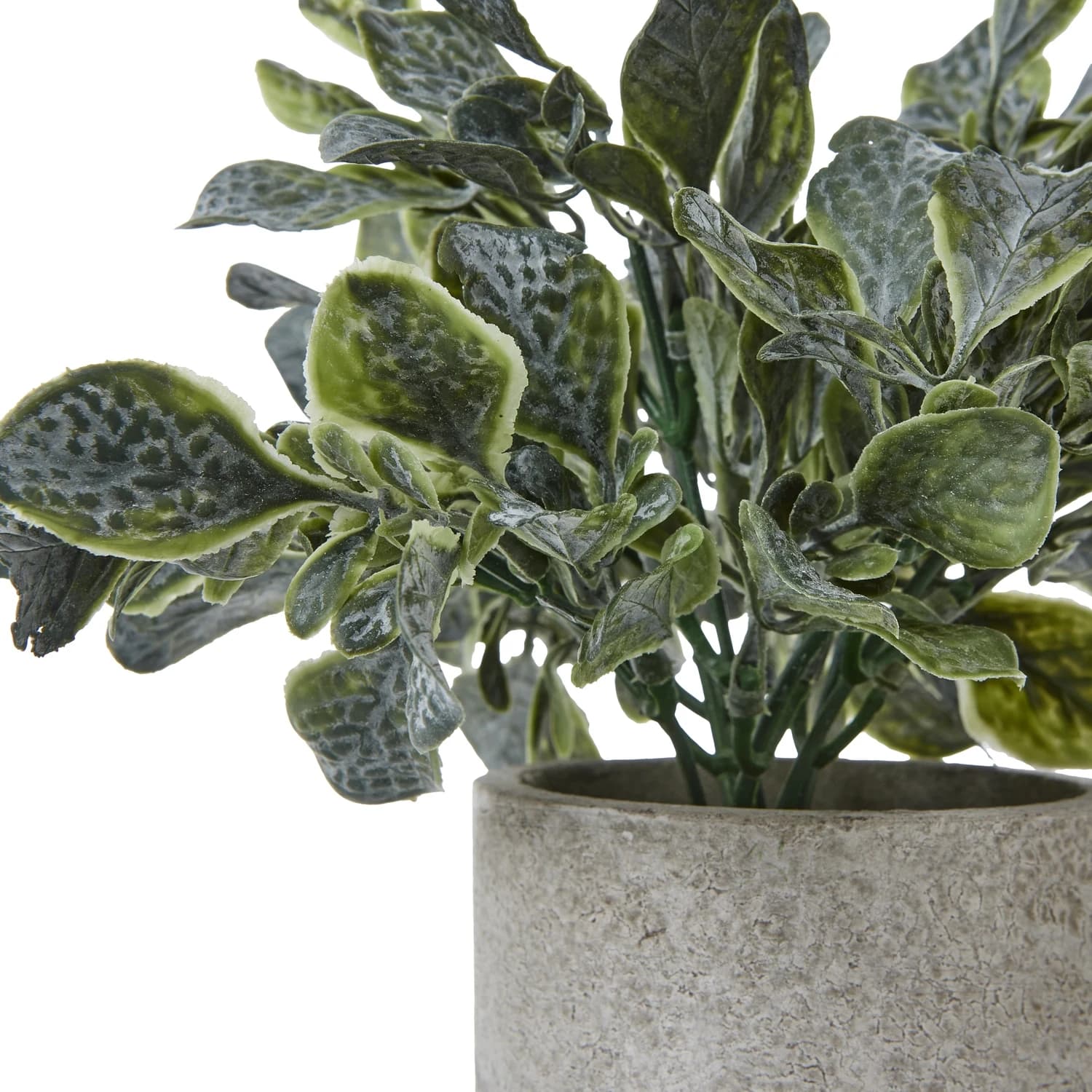 Small Giana Eucalyptus Plant In Grey Pot - Artificial plants & flowers, photo 2 of 2