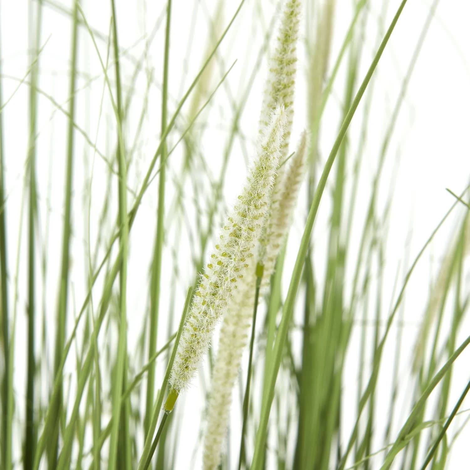 Large Onion Grass Plant In Pot - Artificial plants & flowers, photo 2 of 4