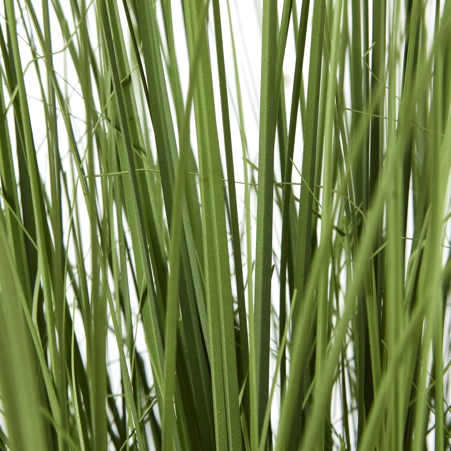 Large Onion Grass Plant In Pot - Artificial plants & flowers, photo 4 of 4