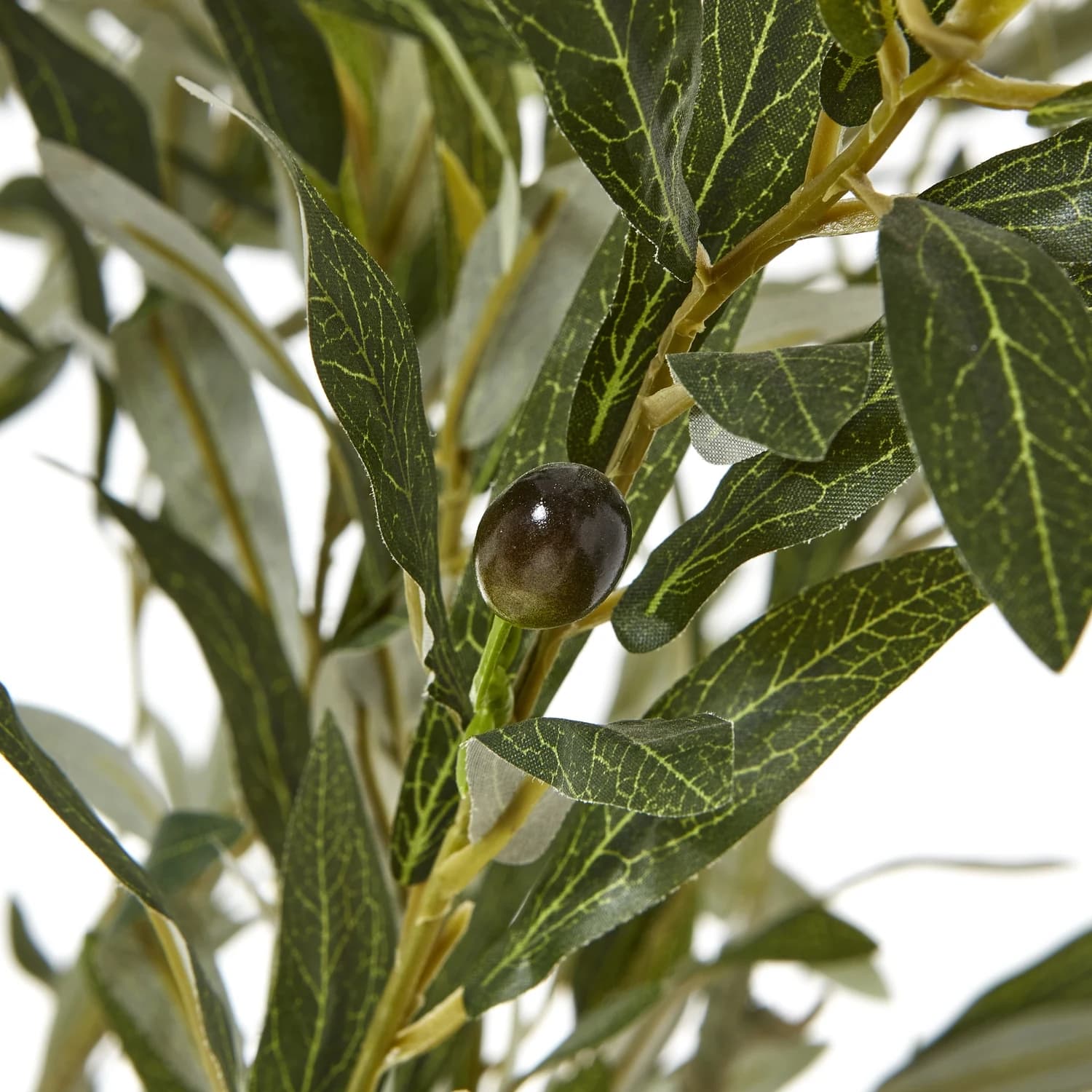 Apulia Olive Tree In White Pot 210Cm - Artificial plants & flowers, photo 2 of 5