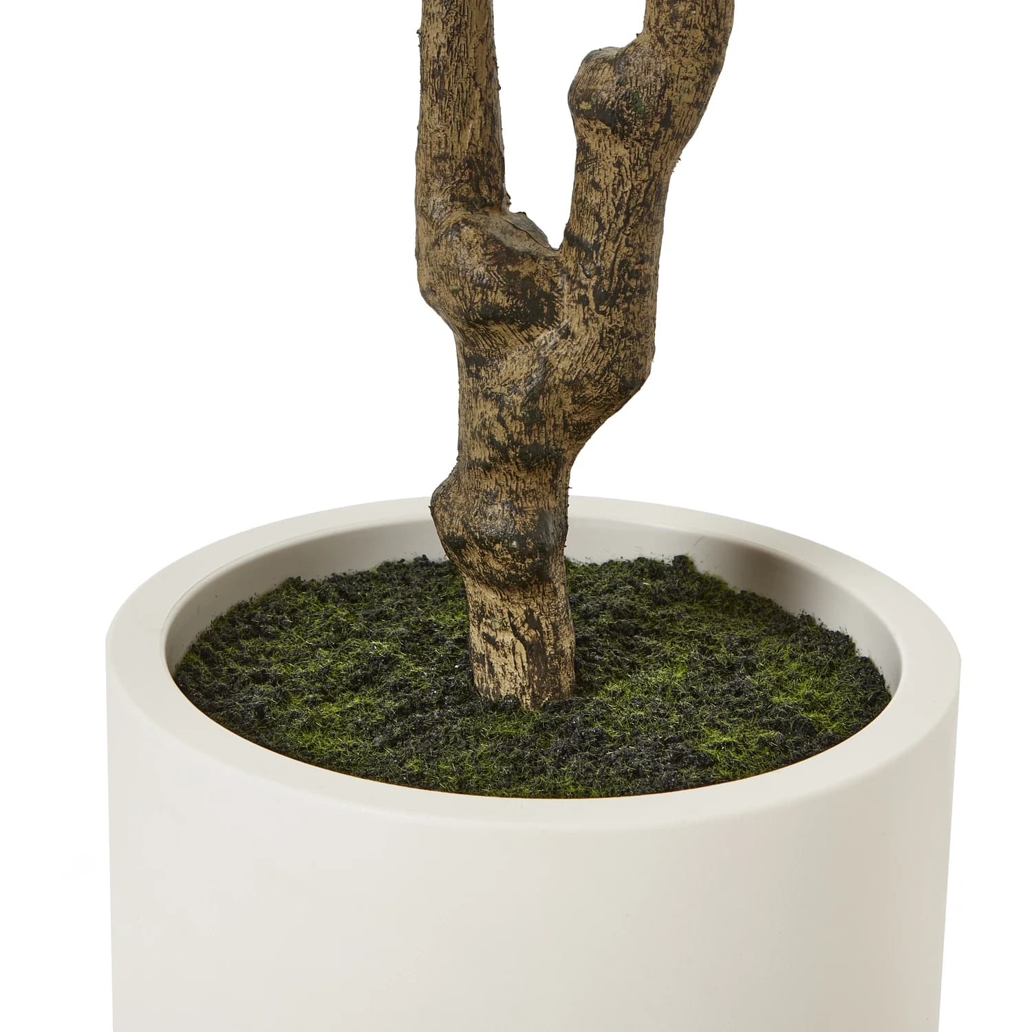 Apulia Olive Tree In White Pot 210Cm - Artificial plants & flowers, photo 4 of 5