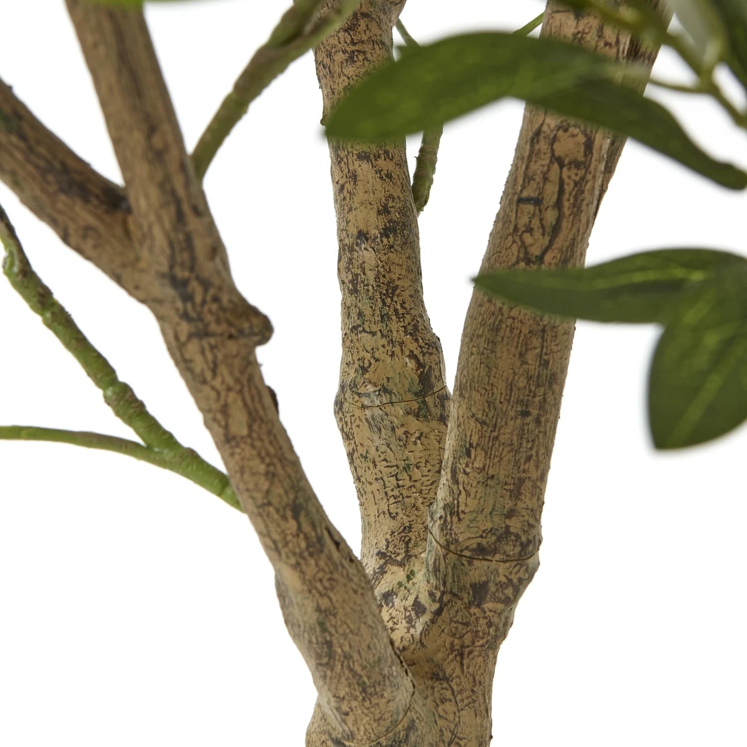 Apulia Olive Tree In White Pot 240Cm - Artificial plants & flowers, photo 3 of 5