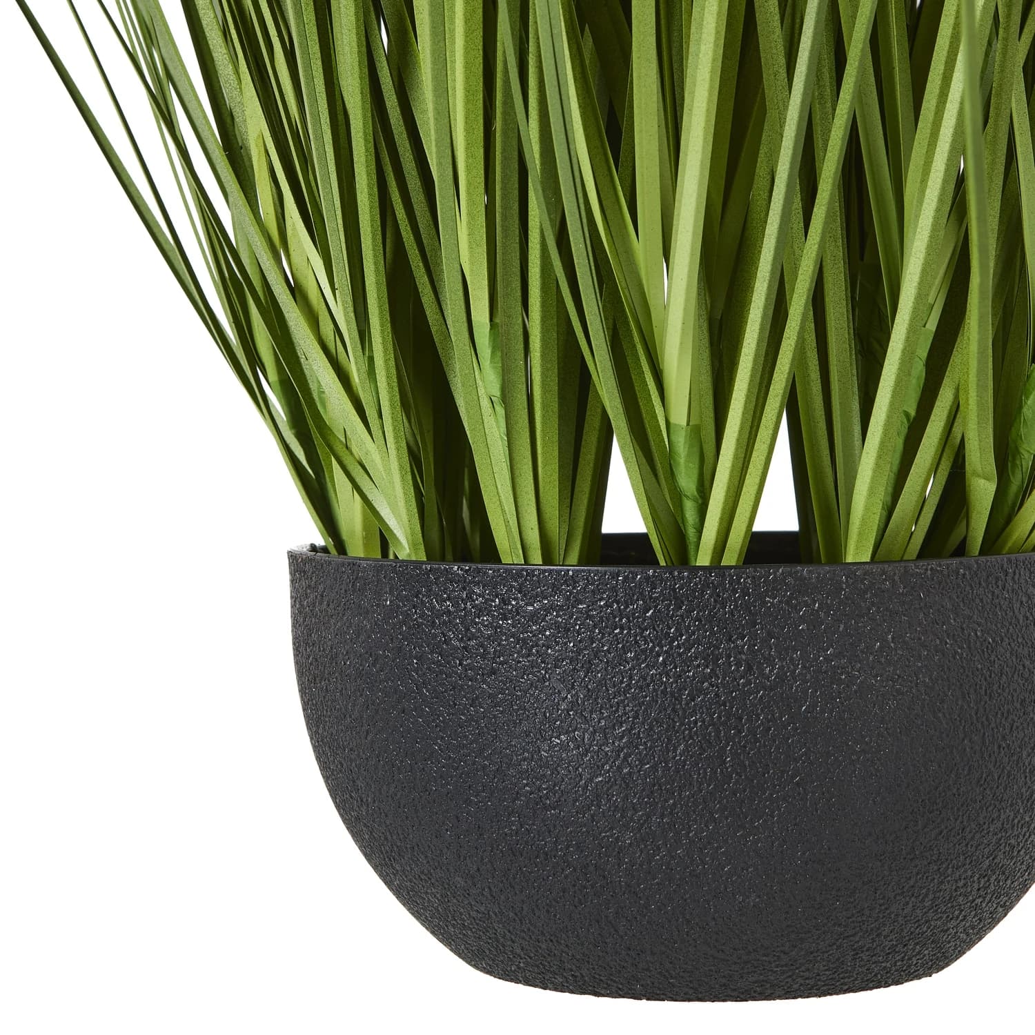 White Allium Plant In Pot - Decorative, photo 4 of 4