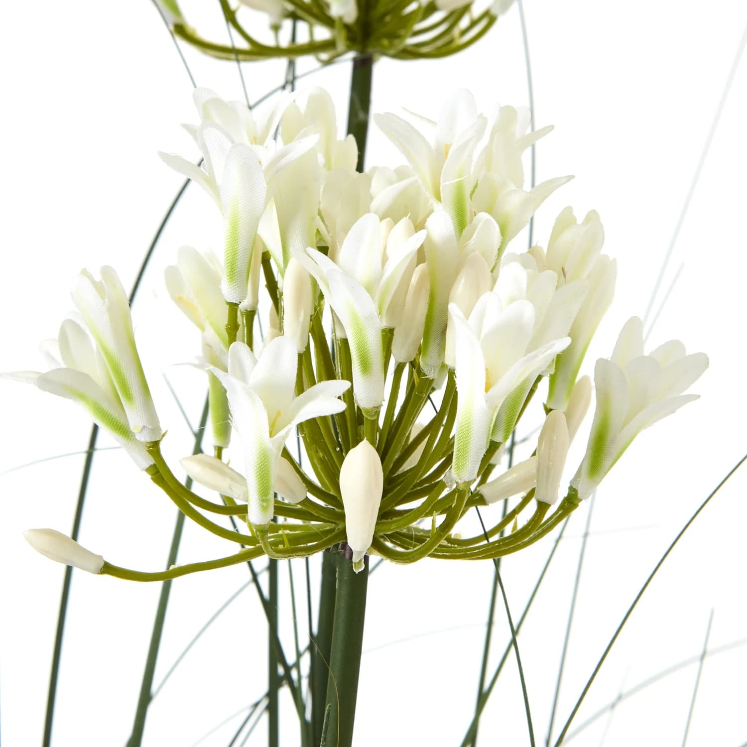 Large White Agapanthus Plant In Pot - Artificial plants & flowers, photo 2 of 4