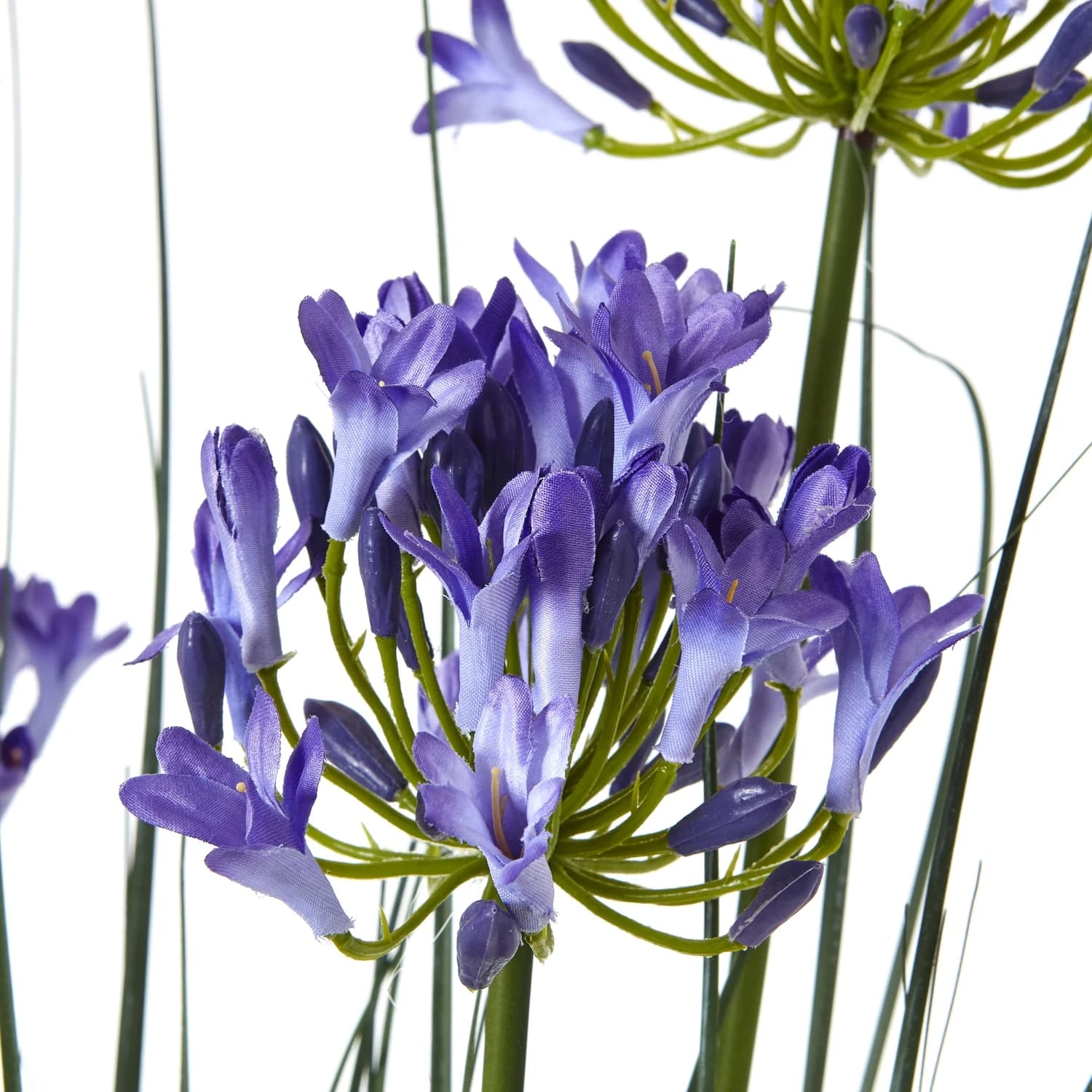 Large Blue Agapanthus Plant In Pot - Artificial plants & flowers, photo 2 of 4