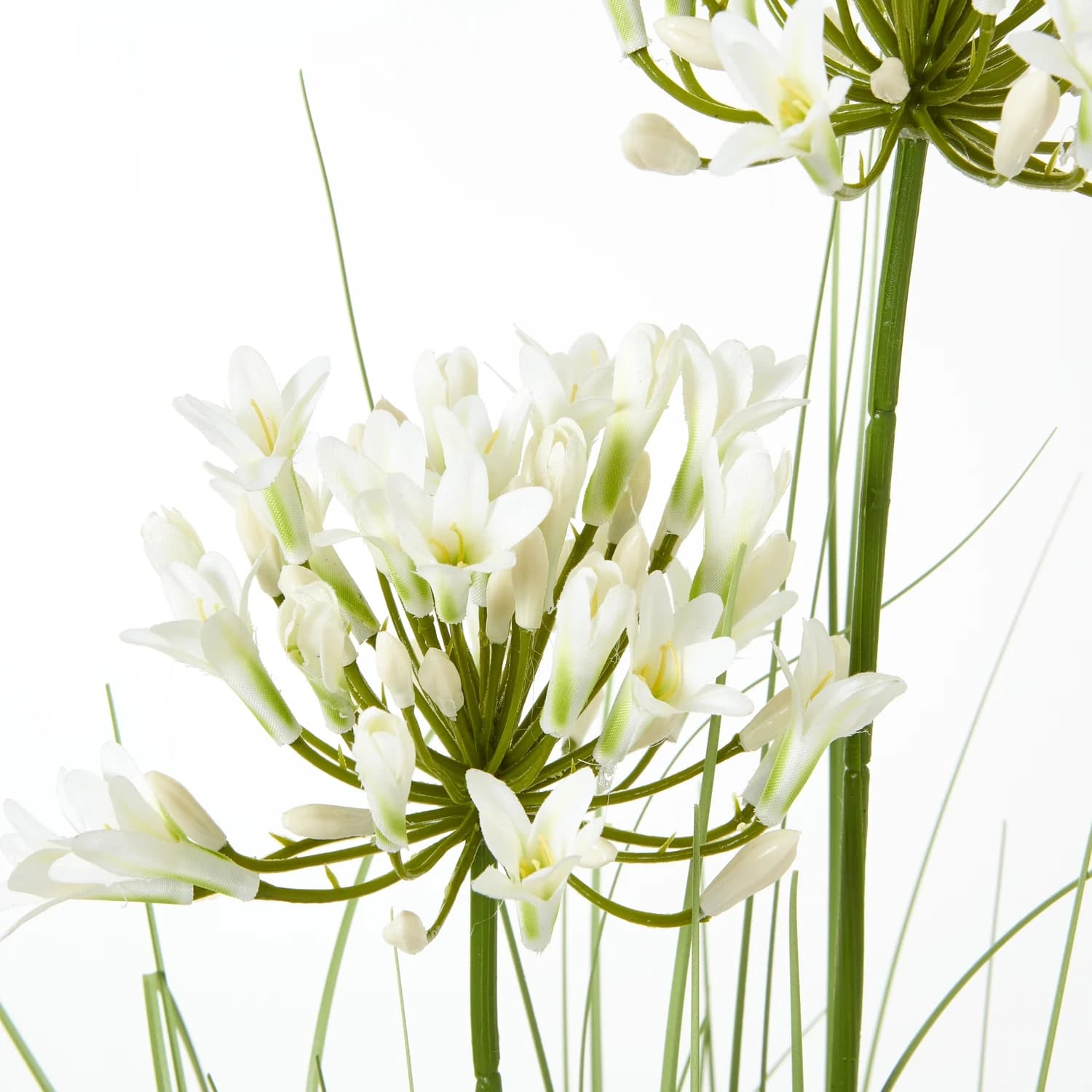 White Agapanthus Plant In Pot - Artificial plants & flowers, photo 2 of 4