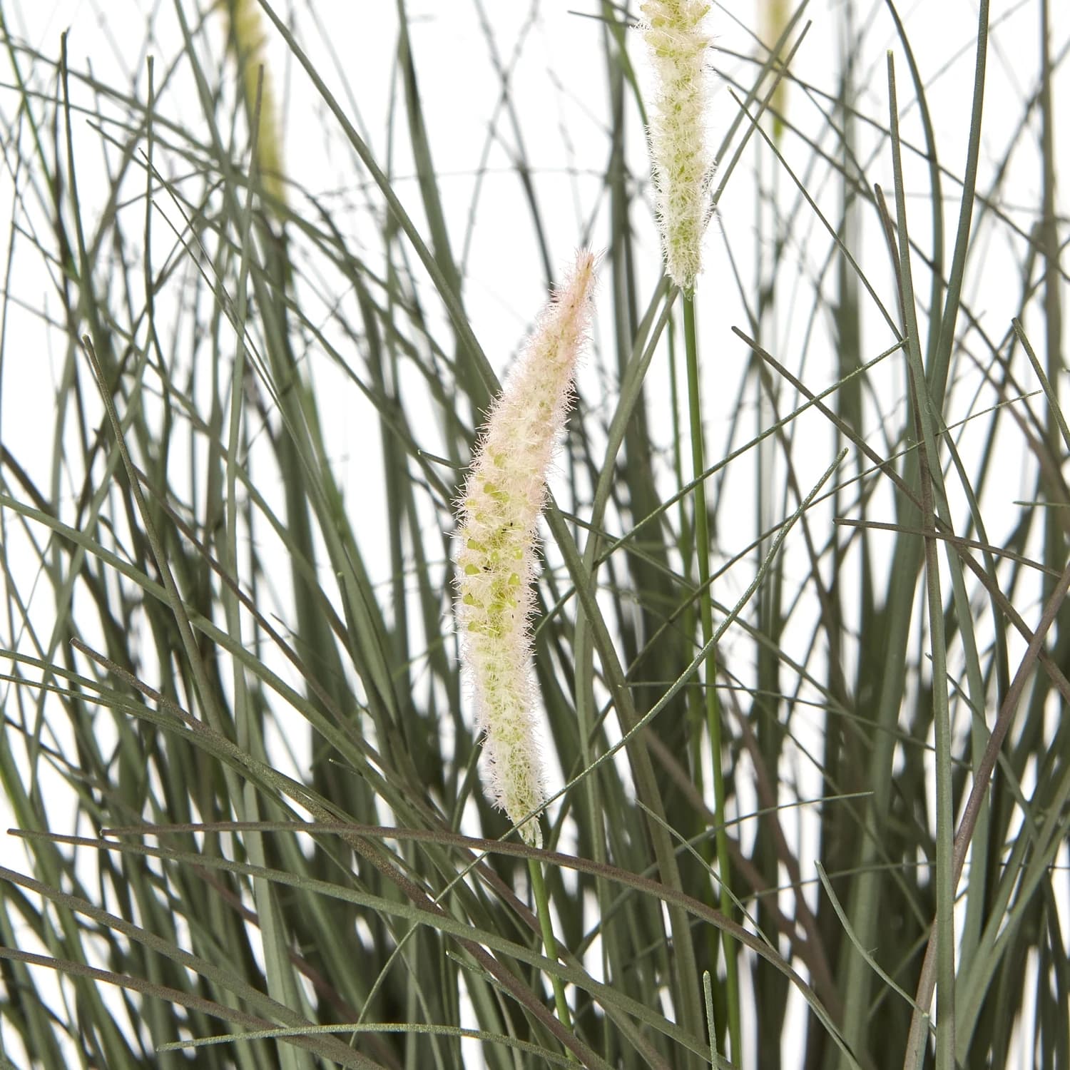 Fountain Grass Plant In Pot - Artificial plants & flowers, photo 2 of 4