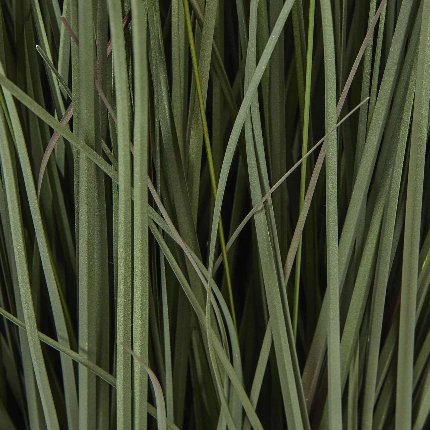 Large Fountain Grass Plant In Pot - Artificial plants & flowers, photo 3 of 4