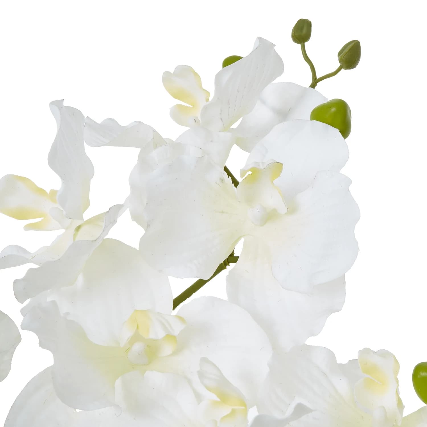 White Vanda Orchid Plant In Ceramic Pot - Artificial plants & flowers, photo 2 of 4