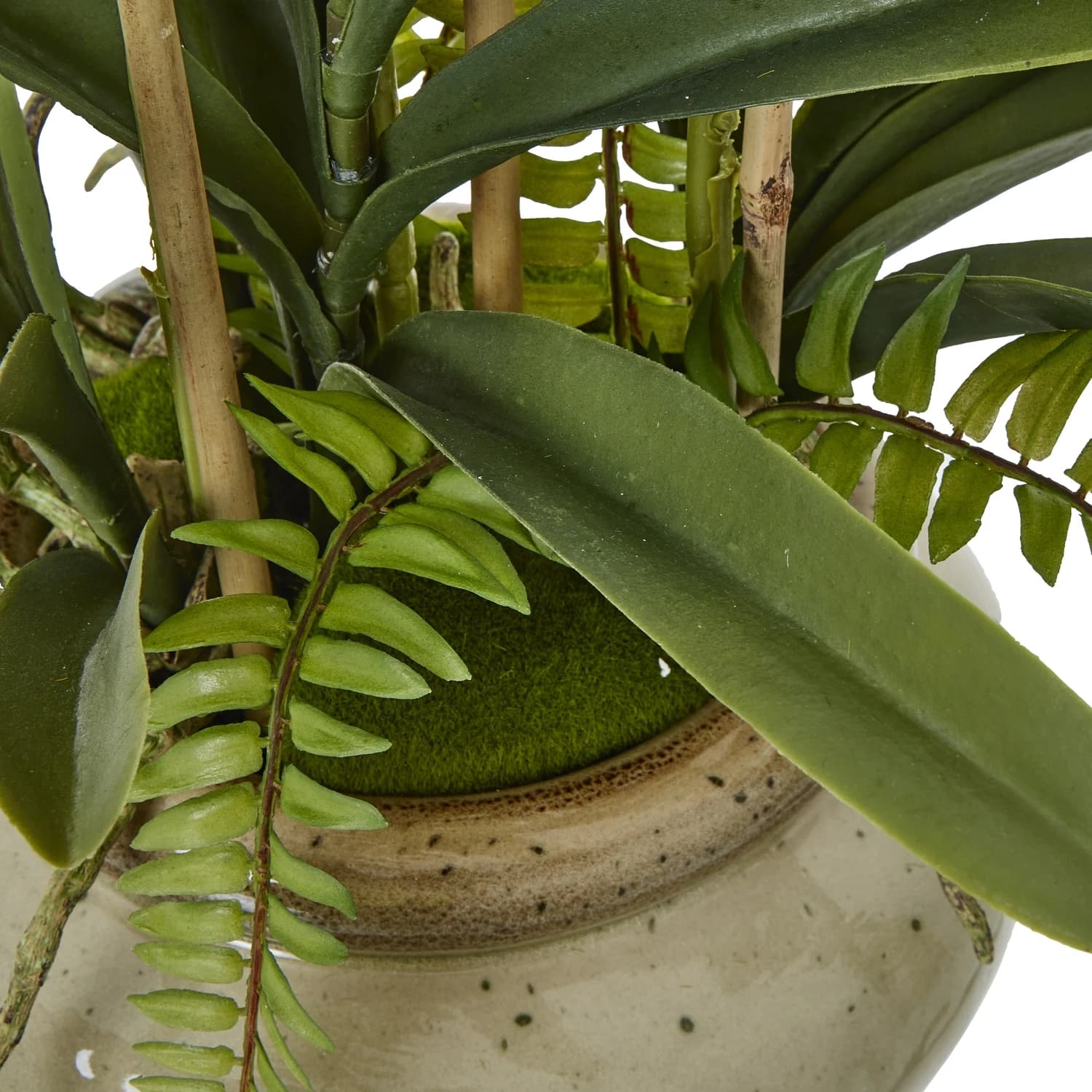 White Vanda Orchid Plant In Ceramic Pot - Artificial plants & flowers, photo 4 of 4