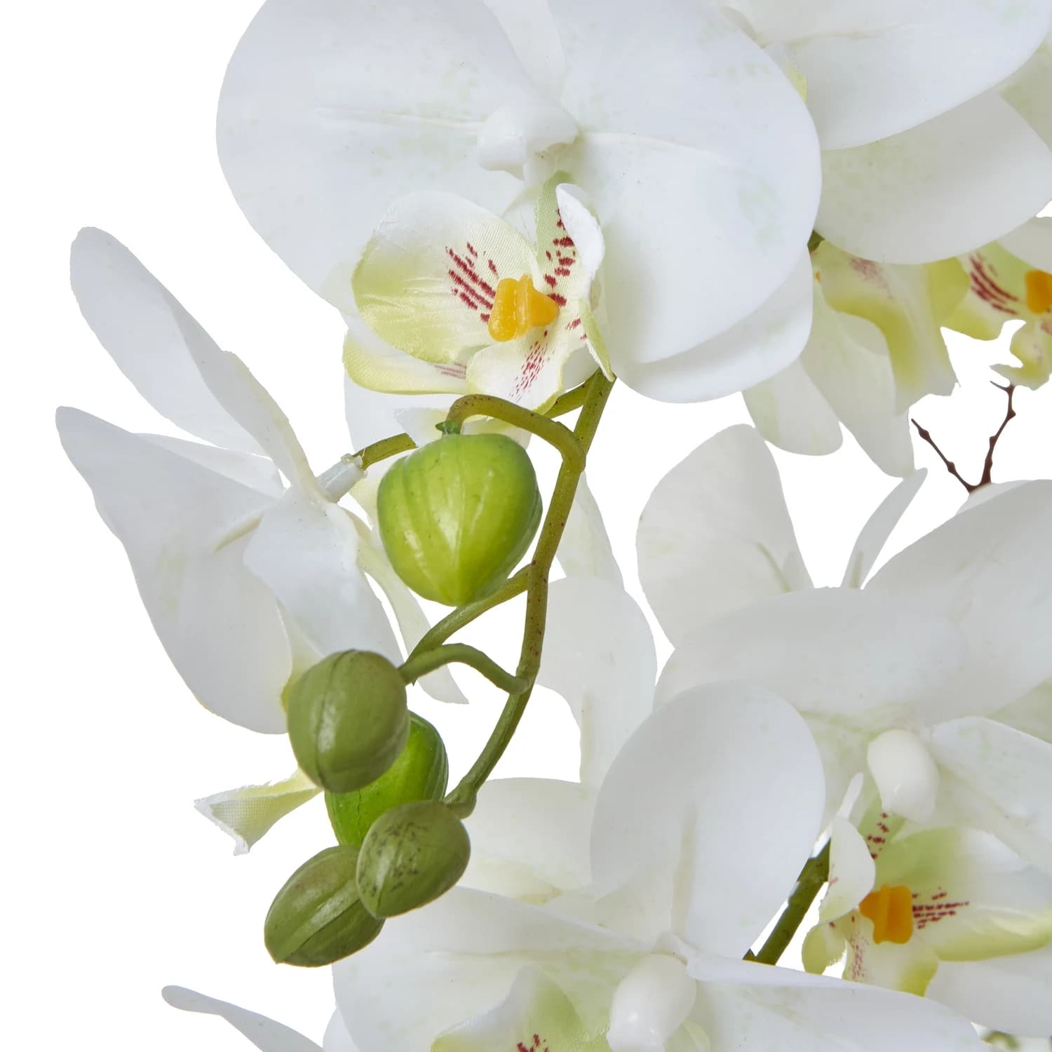 Large White Orchid In Ceramic Pot - Artificial plants & flowers, photo 2 of 4