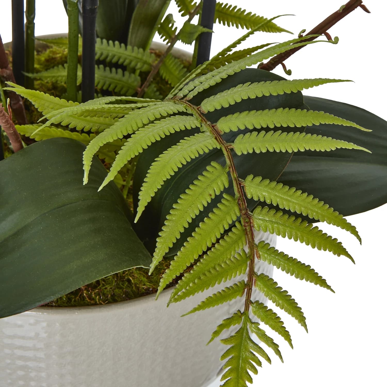 Large White Orchid In Ceramic Pot - Artificial plants & flowers, photo 3 of 4