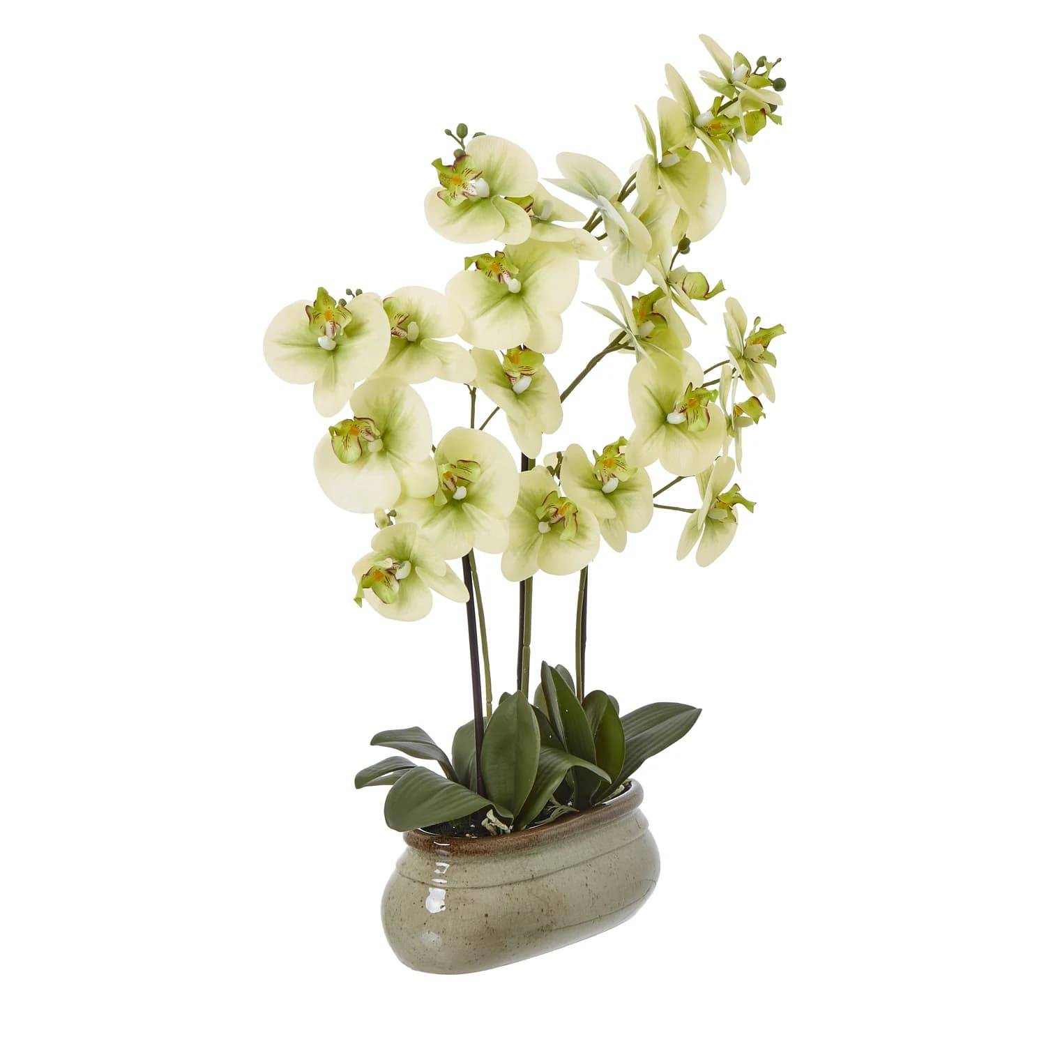 Large Green Orchid In Ceramic Pot - Artificial plants & flowers, photo 2 of 4