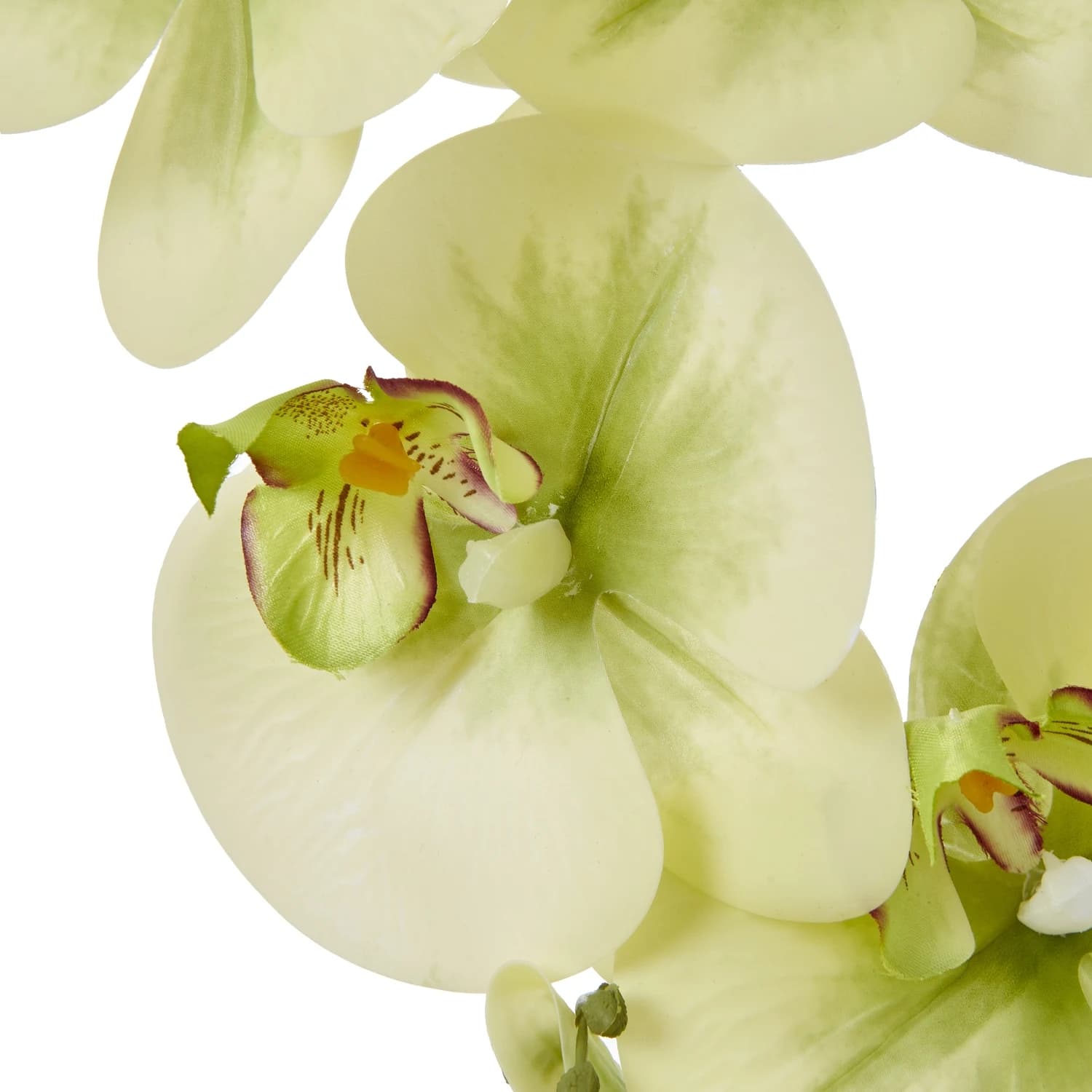 Large Green Orchid In Ceramic Pot - Artificial plants & flowers, photo 3 of 4