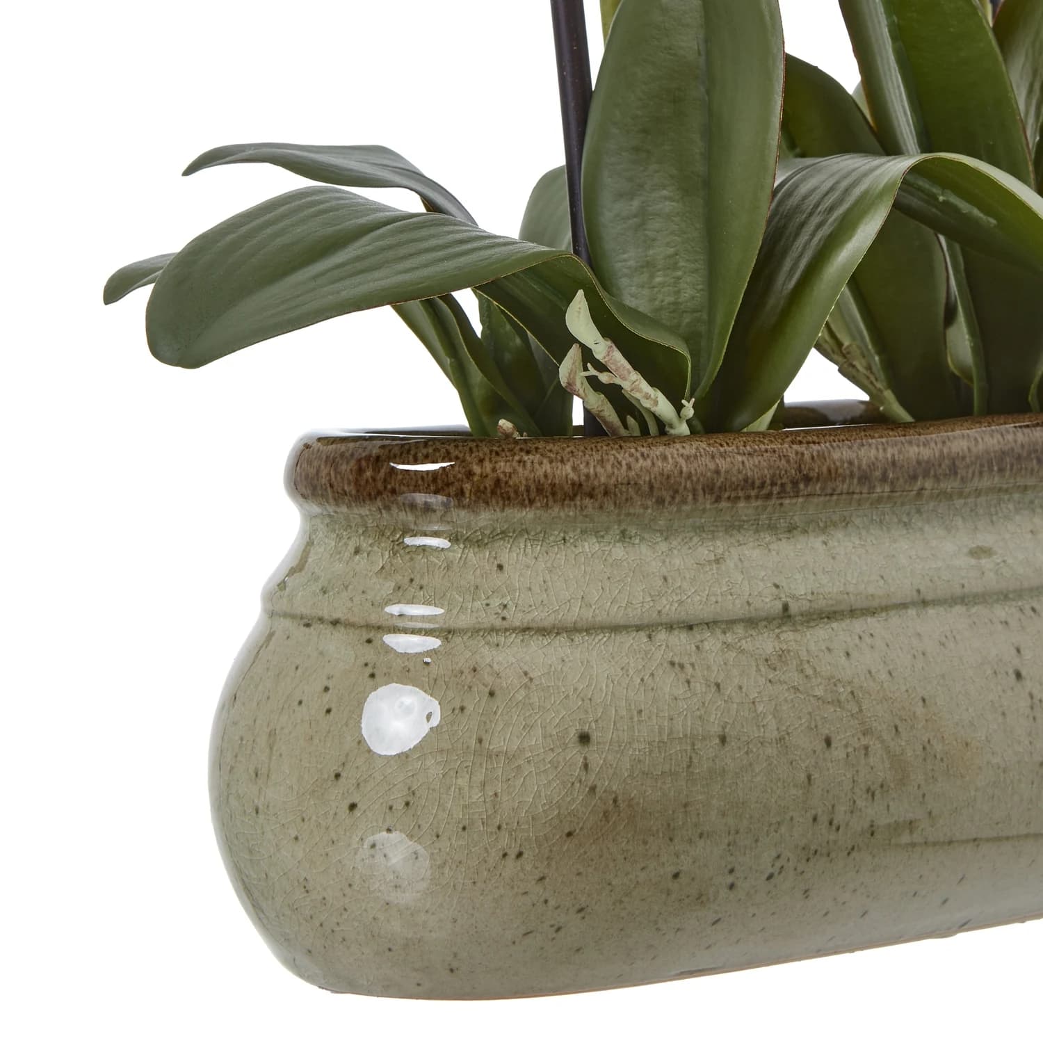 Large Green Orchid In Ceramic Pot - Artificial plants & flowers, photo 4 of 4