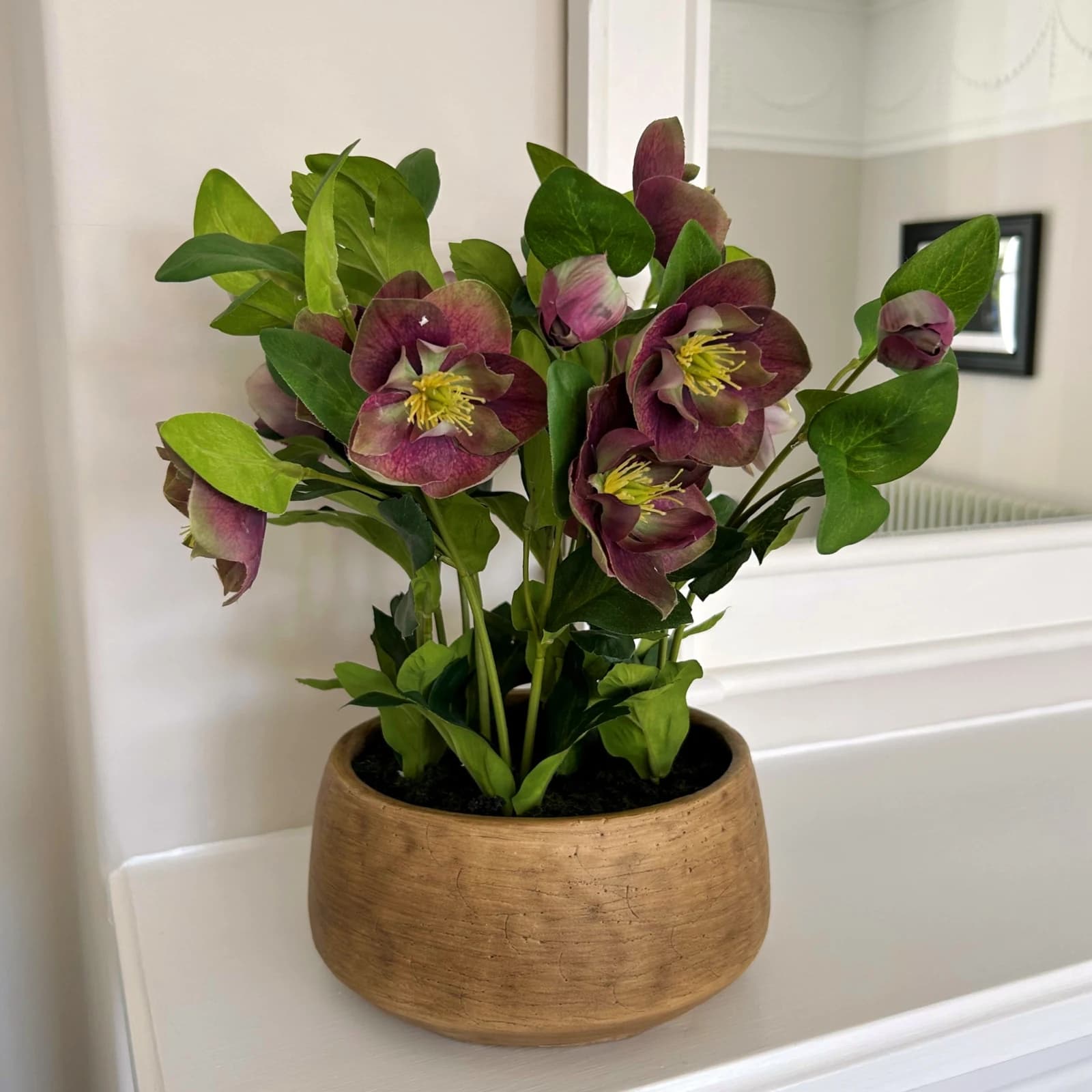 Deep Plum Hellebore Plant In Taupe Pot - Artificial plants & flowers, photo 2 of 5