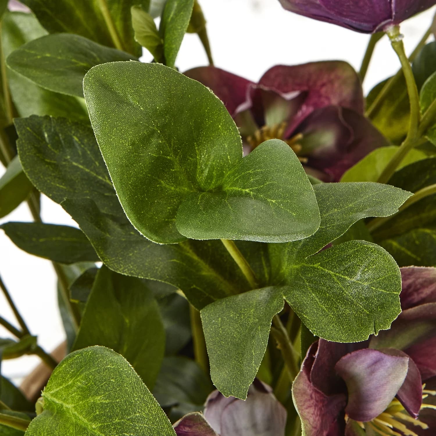 Deep Plum Hellebore Plant In Taupe Pot - Artificial plants & flowers, photo 3 of 5