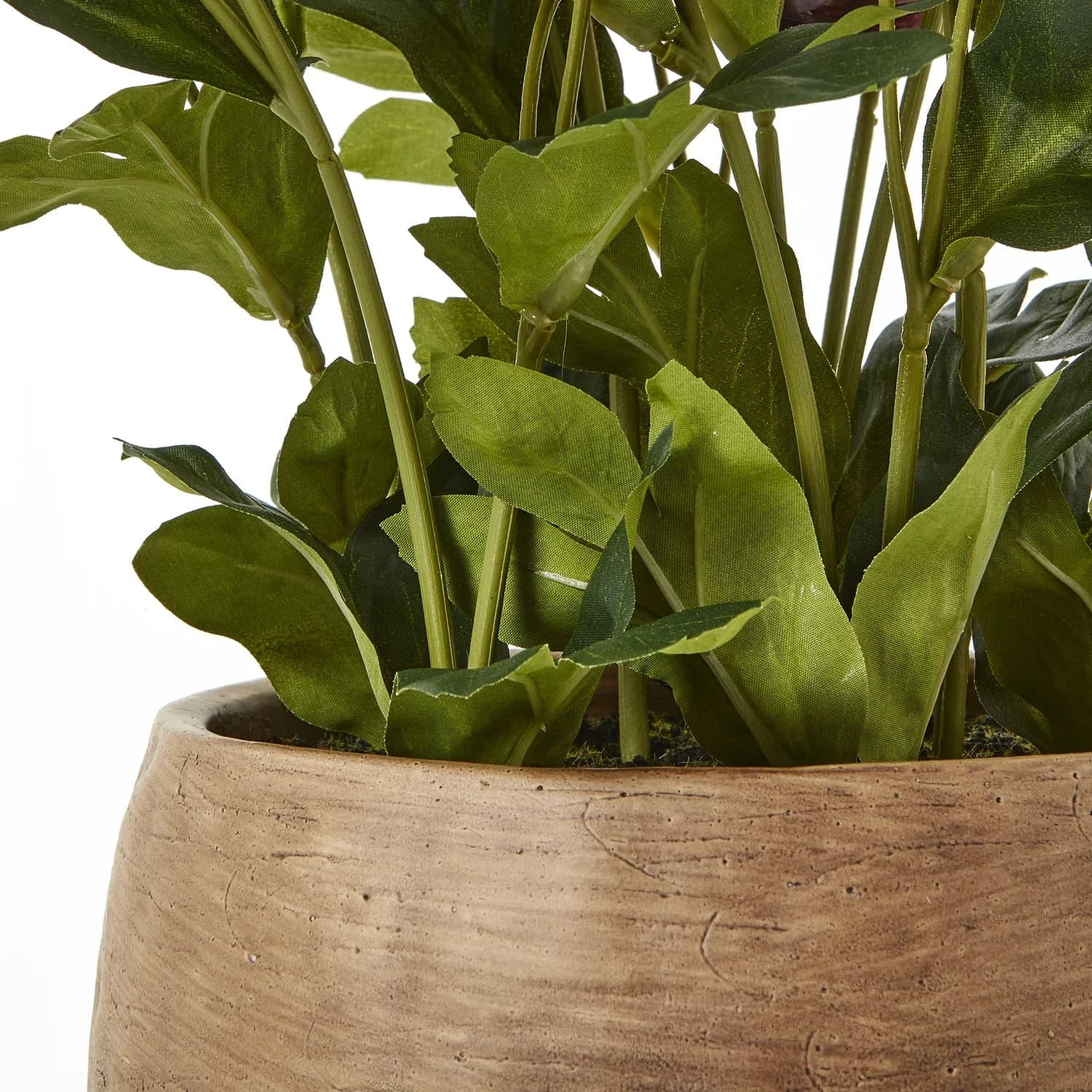 Deep Plum Hellebore Plant In Taupe Pot - Artificial plants & flowers, photo 4 of 5