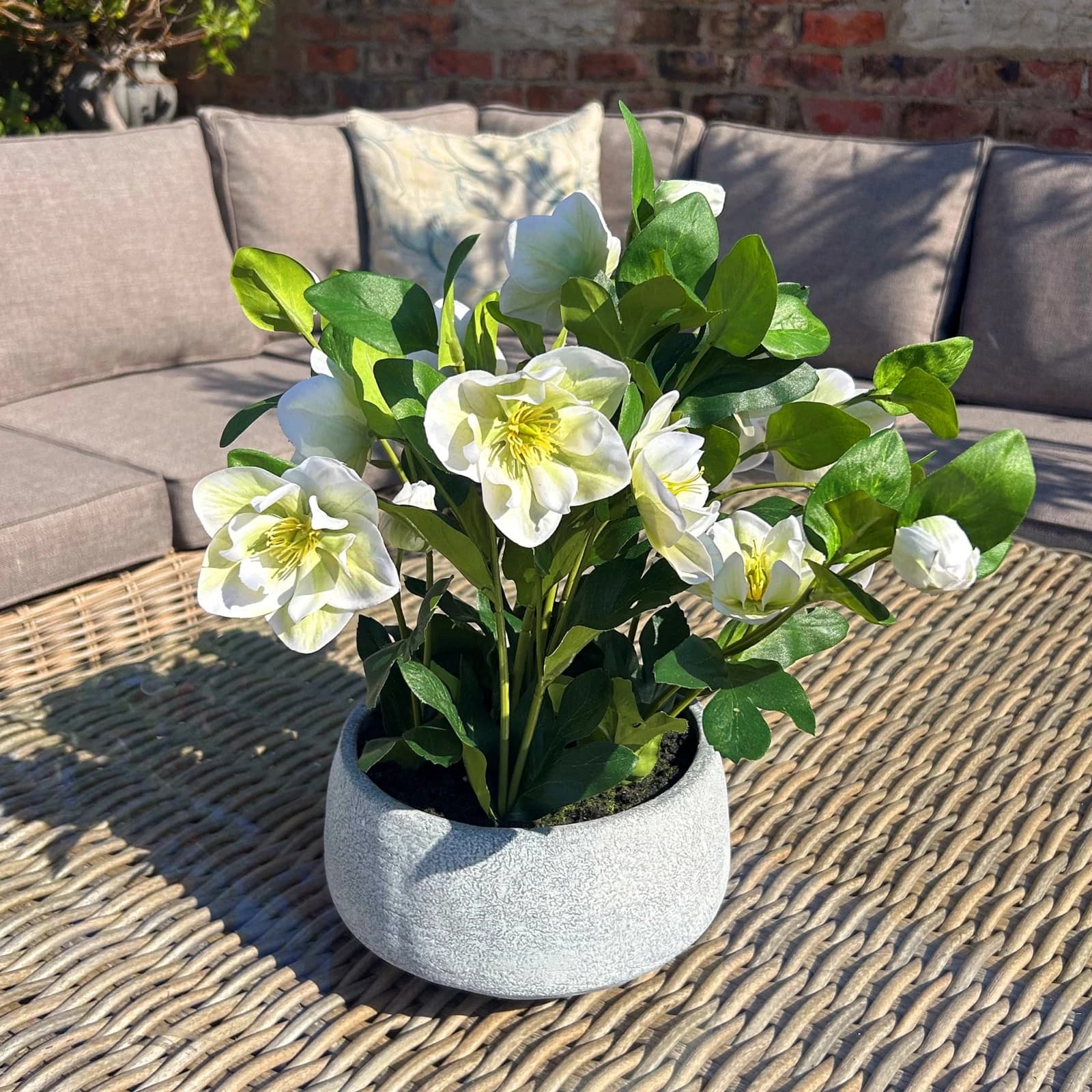 White Hellebore Plant In Grey Pot - Artificial plants & flowers, photo 2 of 5