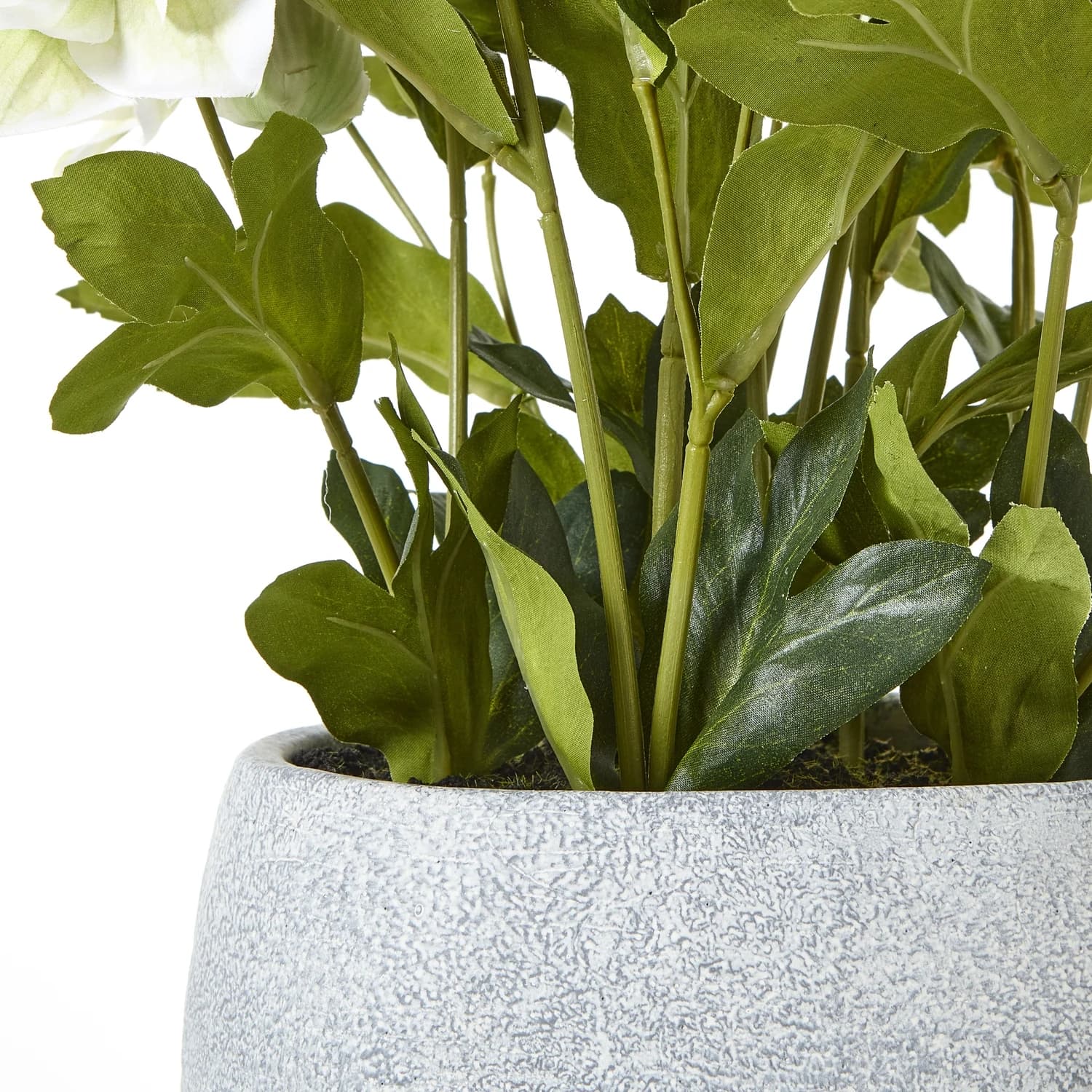 White Hellebore Plant In Grey Pot - Artificial plants & flowers, photo 4 of 5