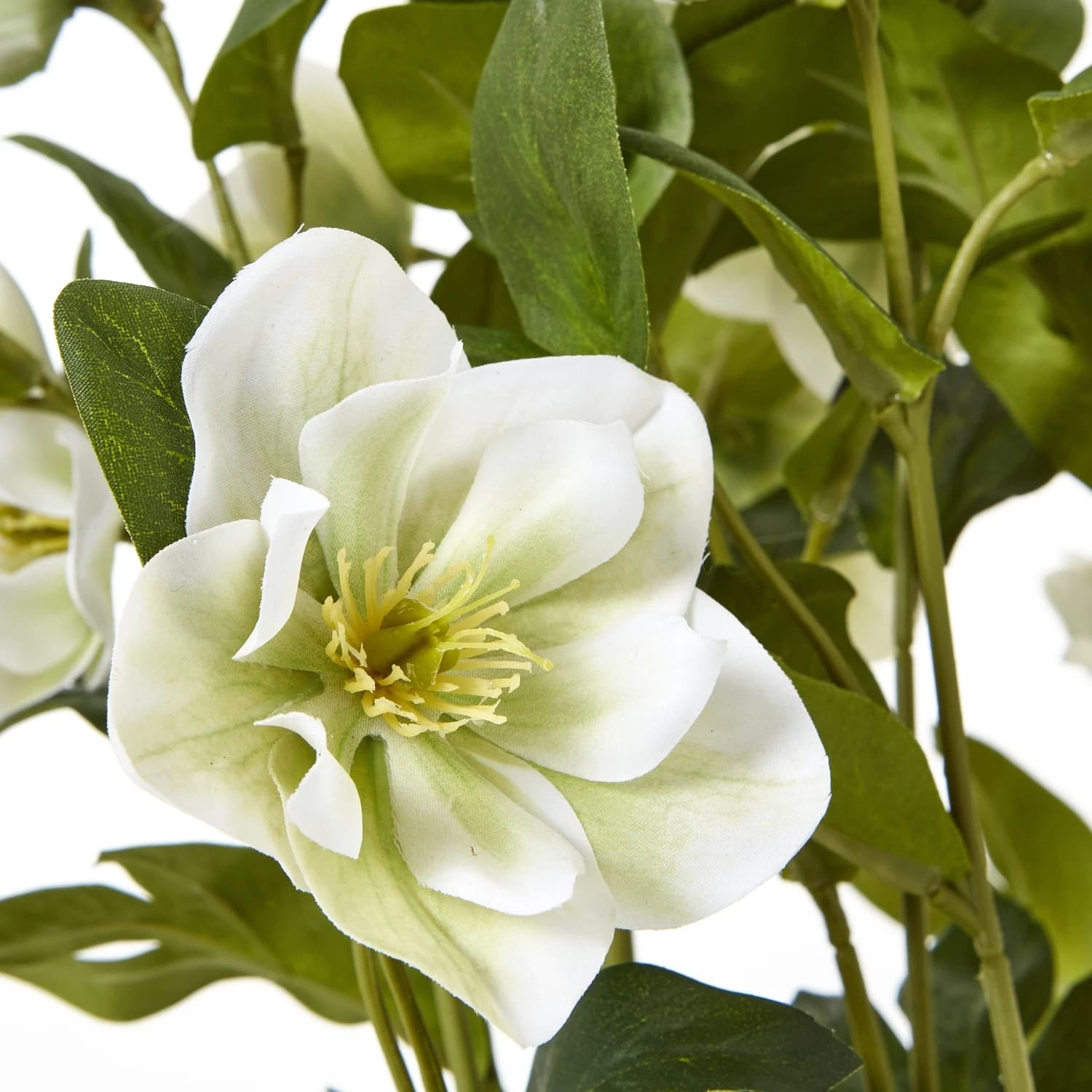 White Hellebore Plant In Grey Pot - Artificial plants & flowers, photo 5 of 5
