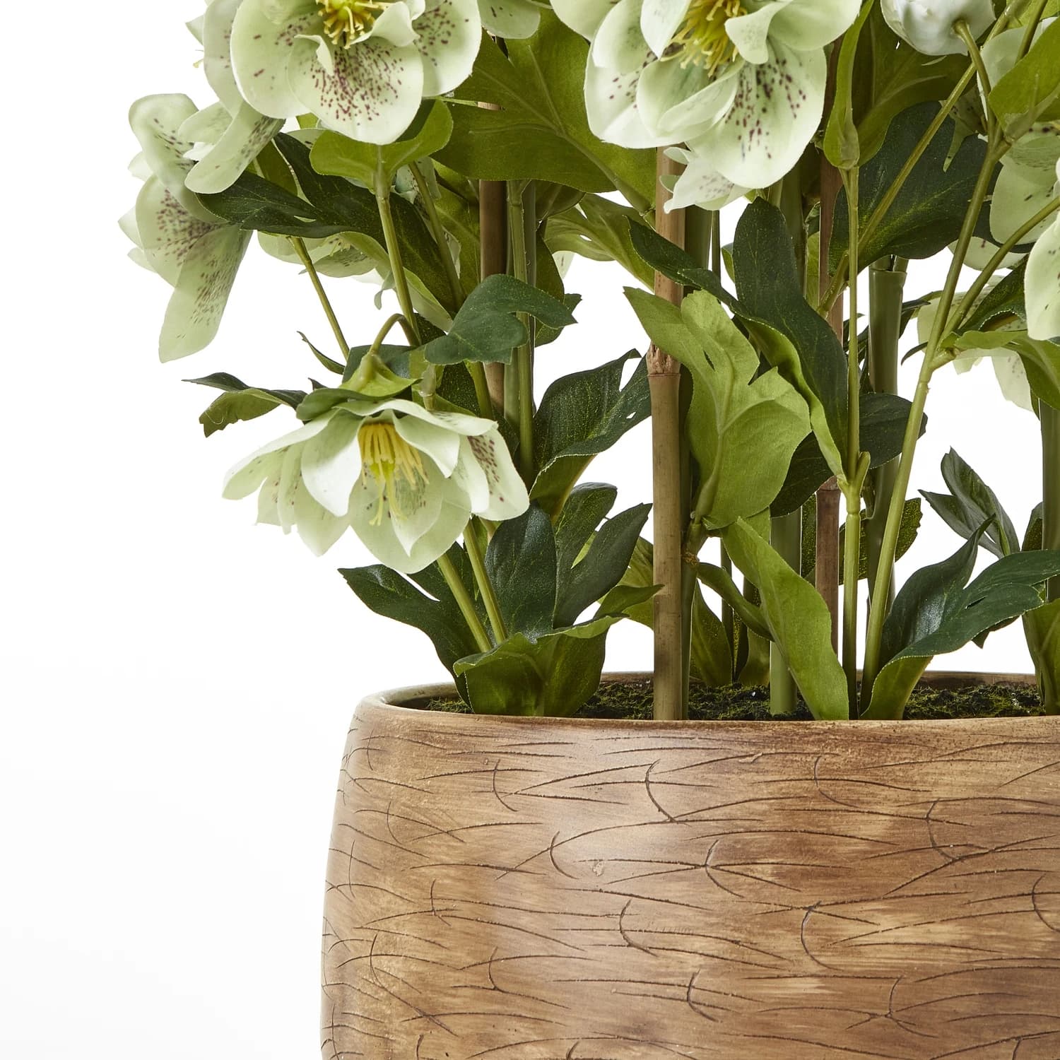 Large Green Hellebore in Taupe Pot - Artificial plants & flowers, photo 4 of 5